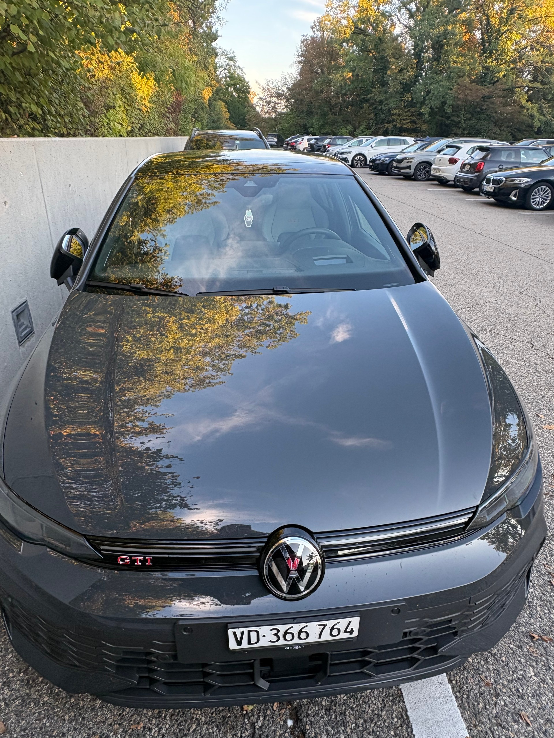 VW 2.0 TSI GTI DSG-image-1