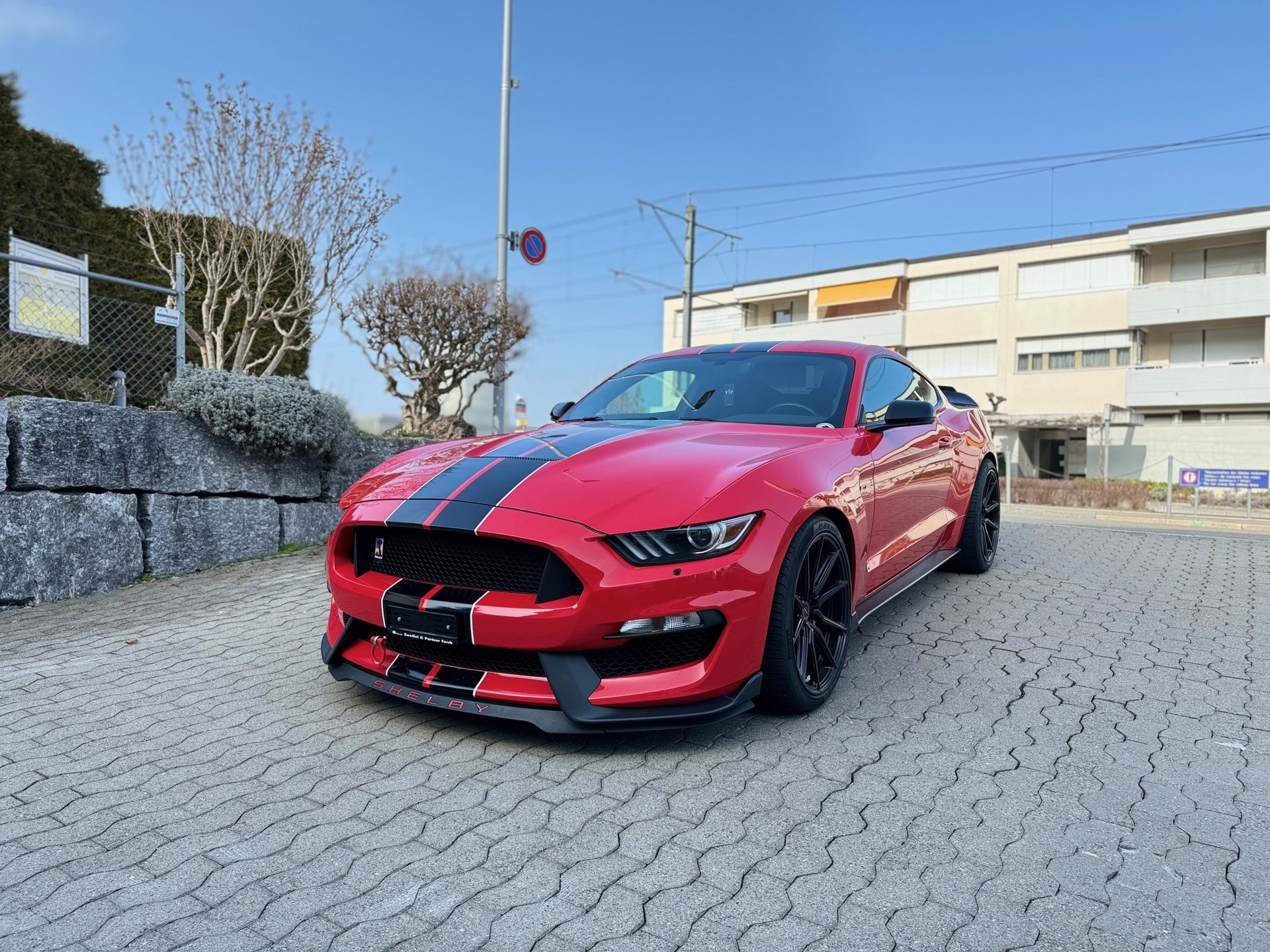 FORD GT 350 Shelby