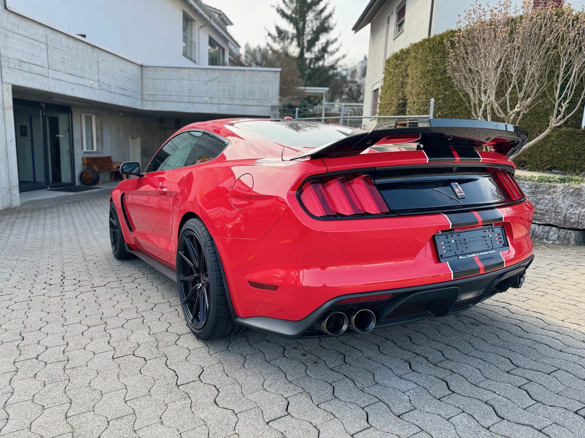 FORD GT 350 Shelby-image-5