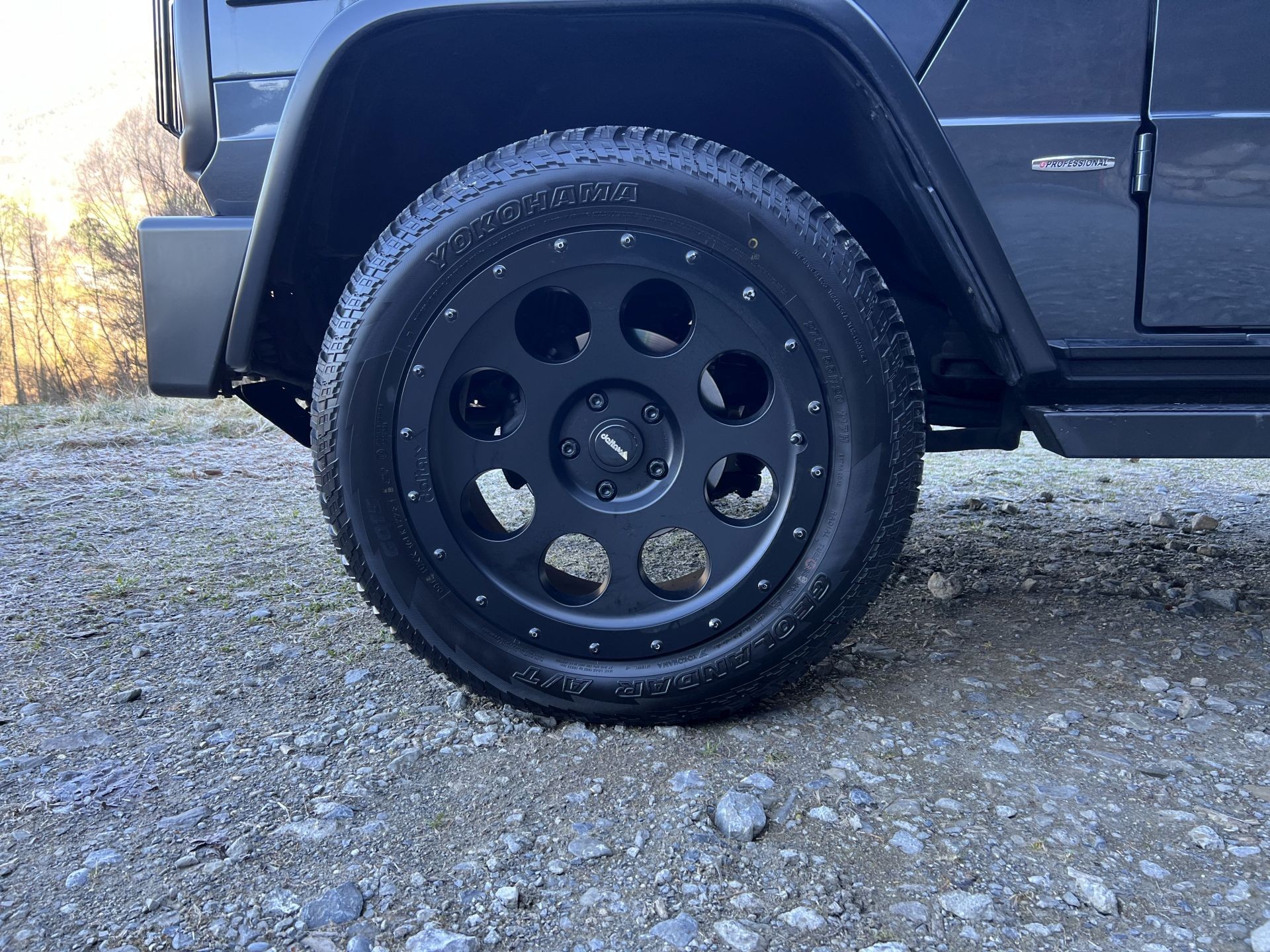 MERCEDES-BENZ G 350 d Professional 7G-Tronic-image-9
