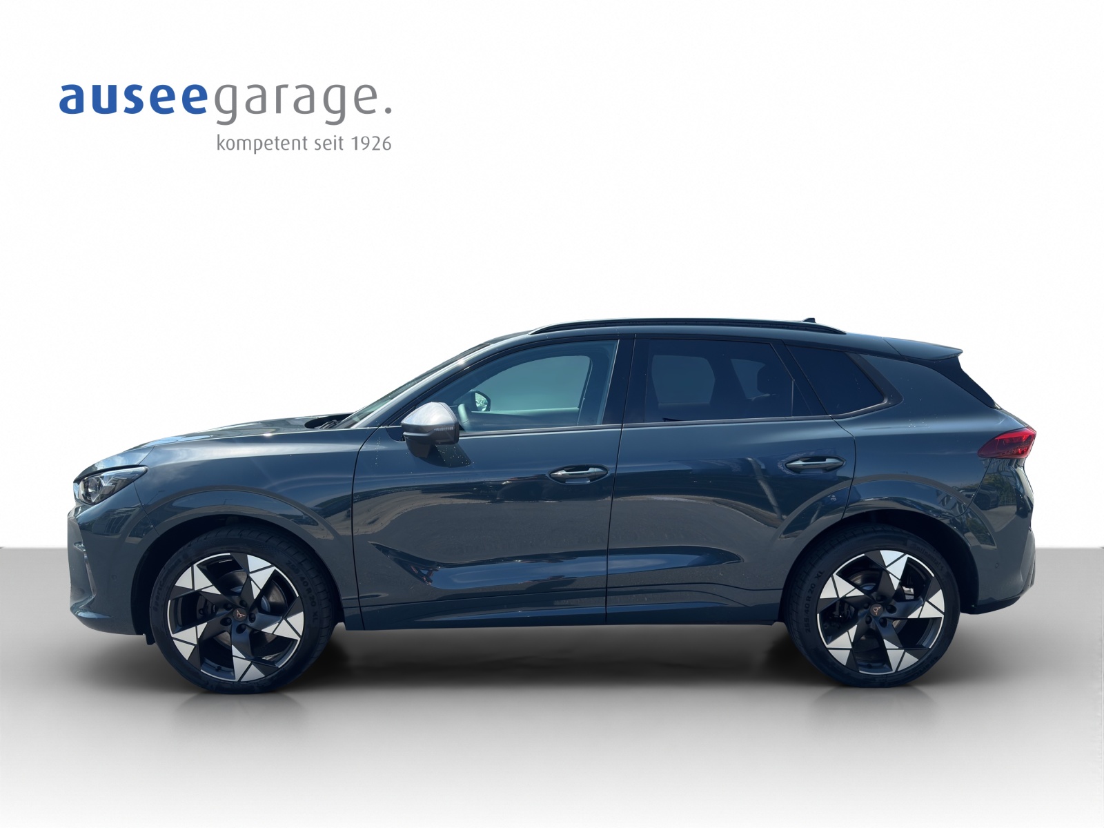 CUPRA Terramar 2.0 TSI VZ 4Drive DSG-image-1