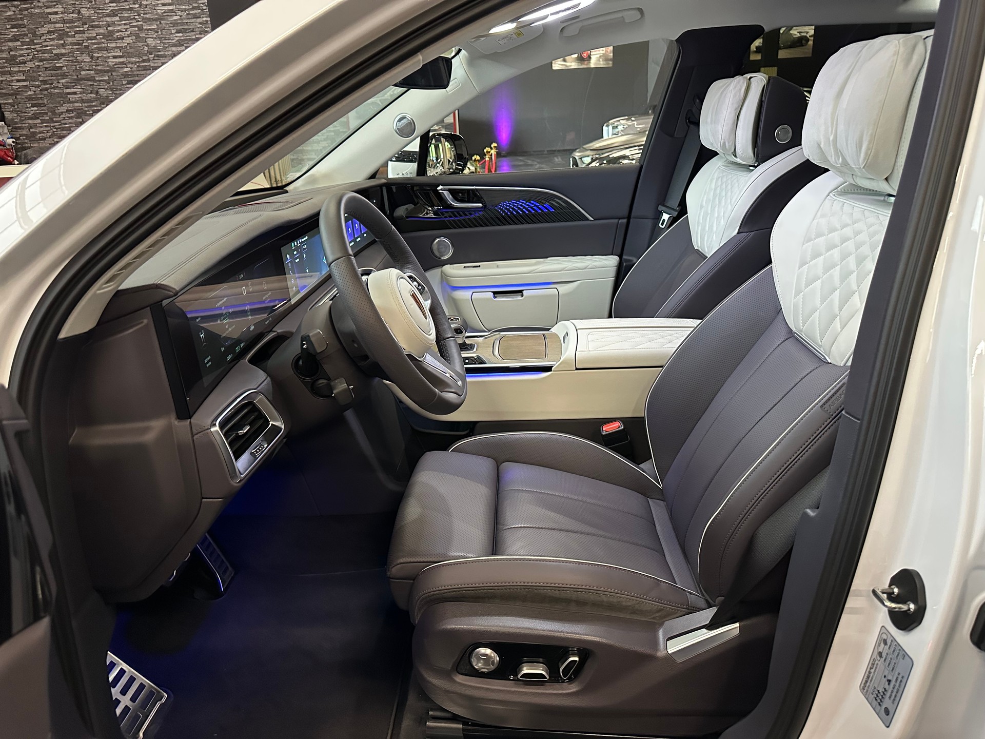 HONGQI E-HS9 Exclusive+ 120kWh-image-9