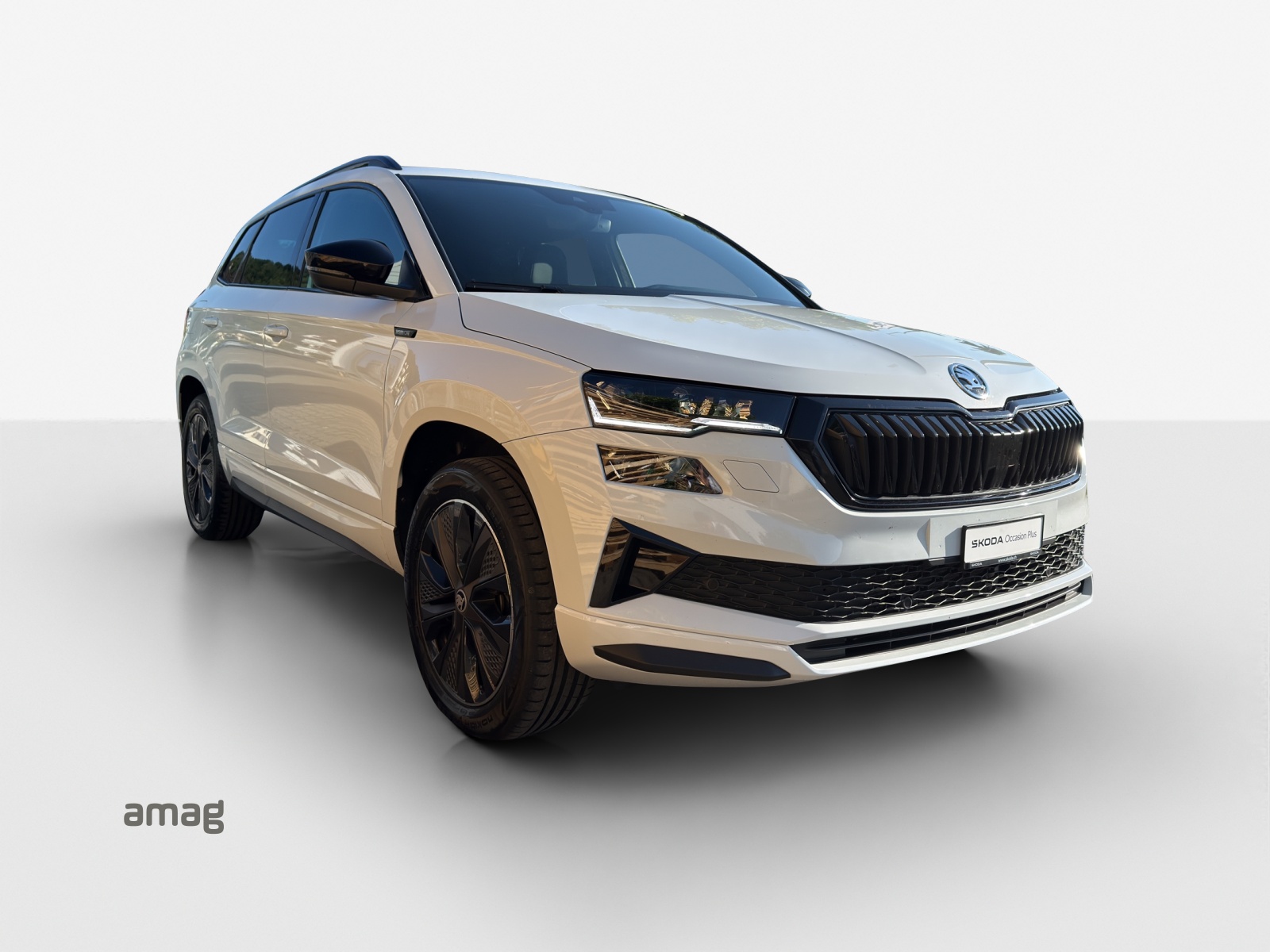 SKODA Karoq 2.0 TSI SportLine 4x4 DSG-image-5