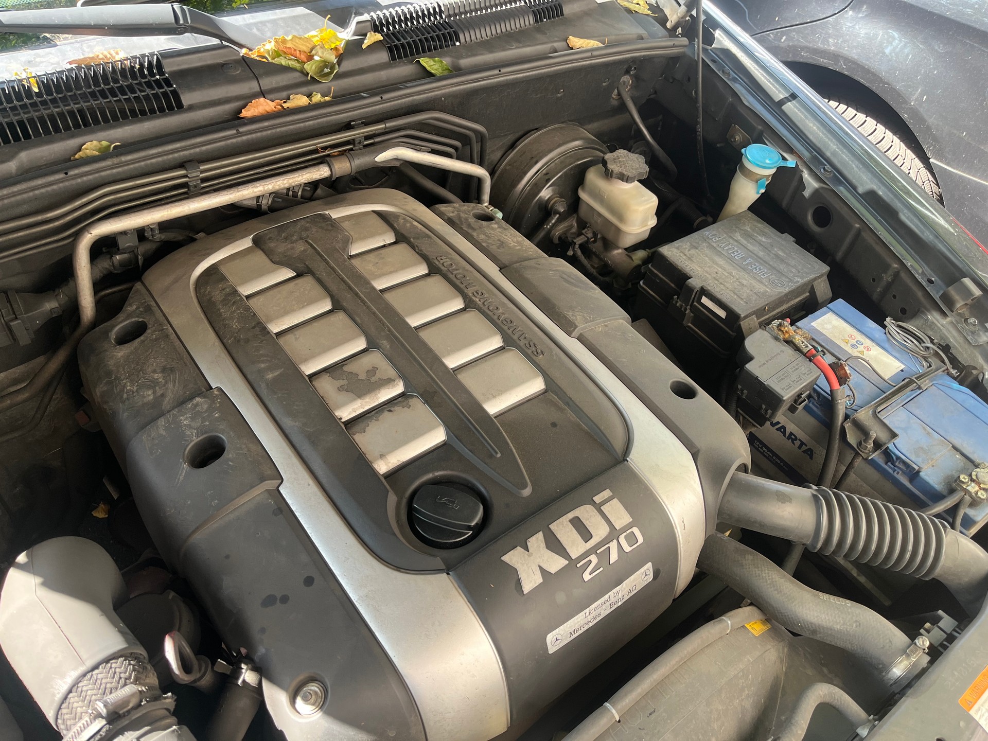 KGM-SsangYong Rexton RX 270 Xdi-image-12