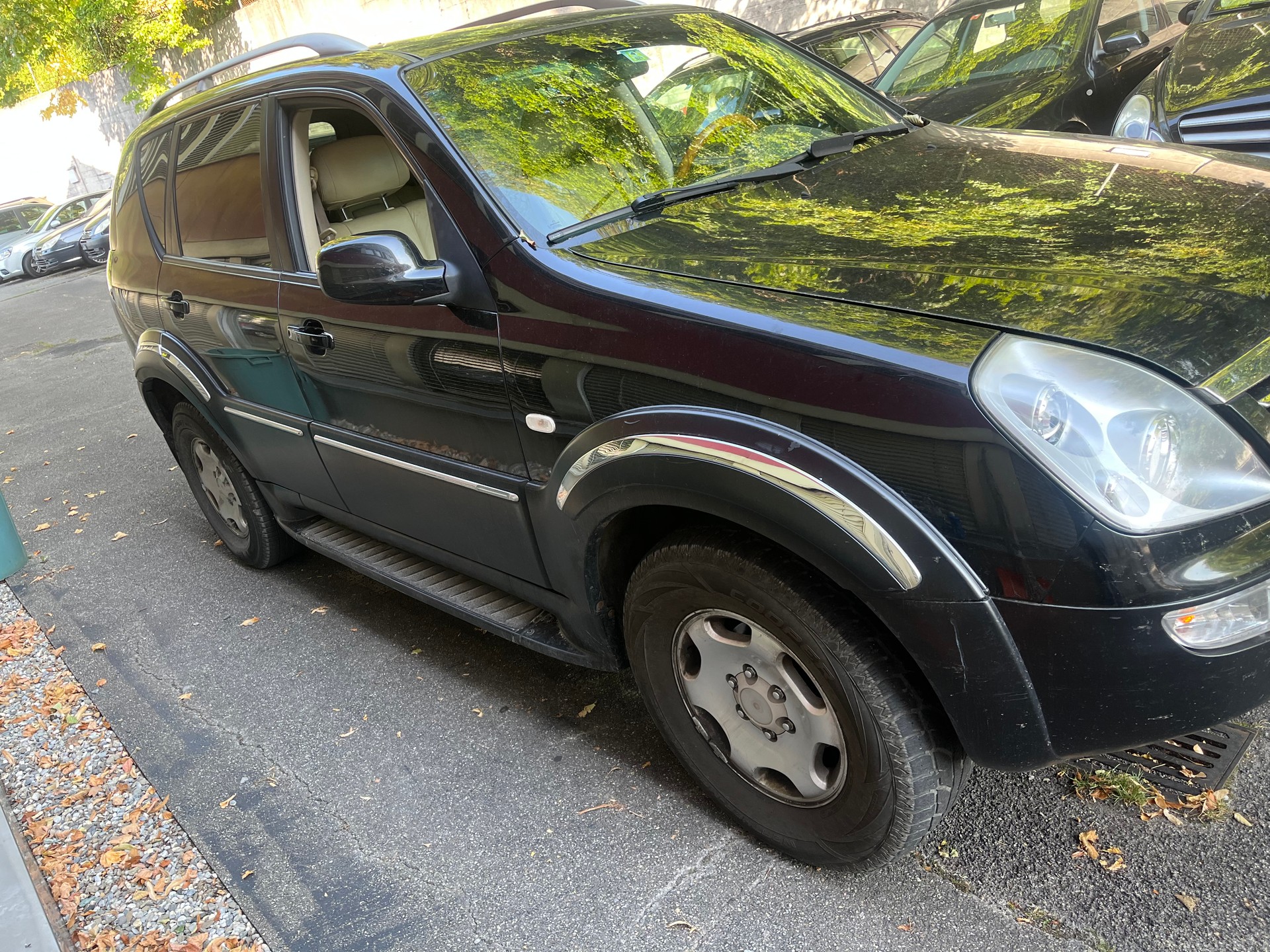 KGM-SsangYong Rexton RX 270 Xdi-image-3