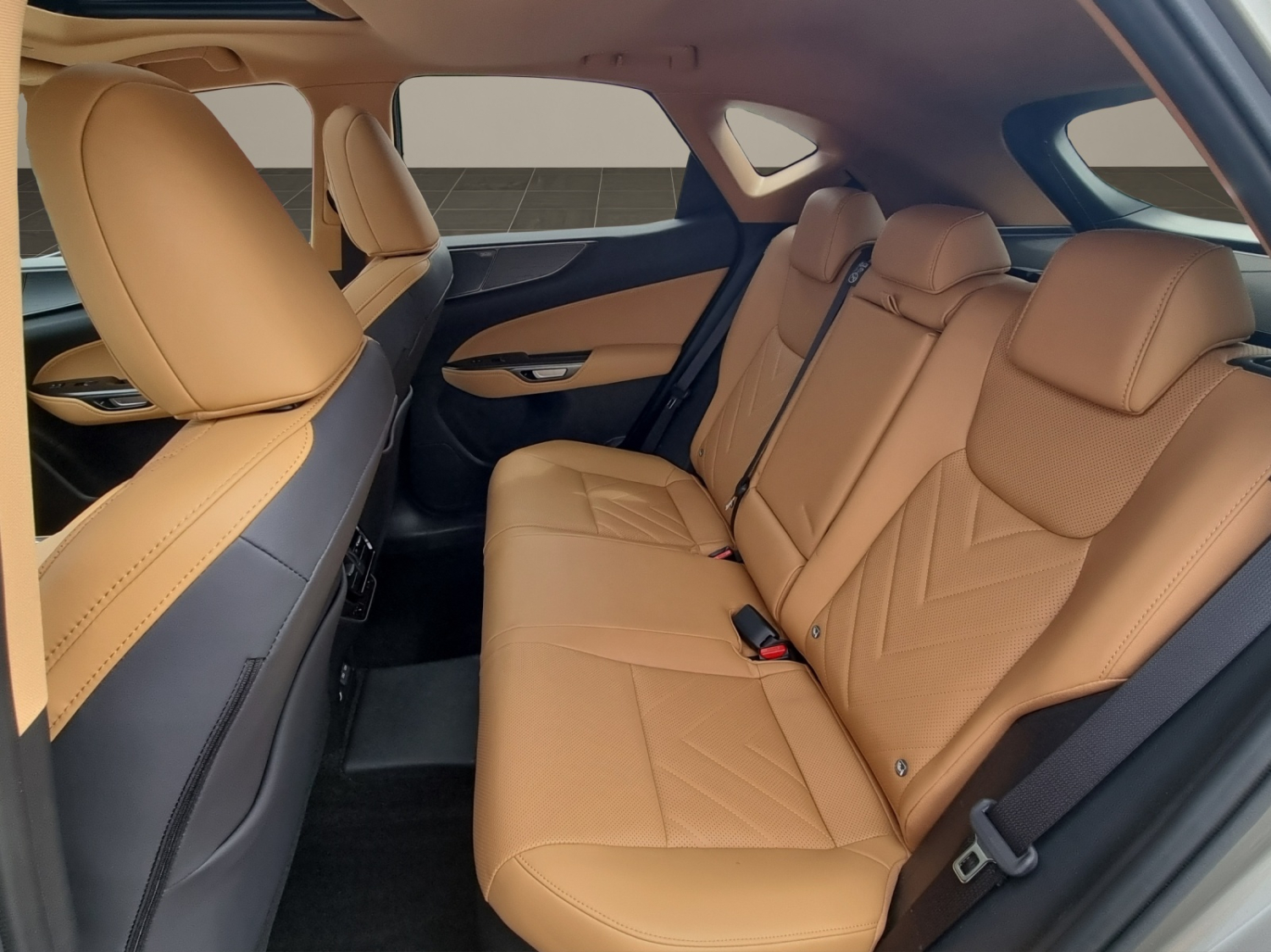LEXUS NX 450h+ Excellence-image-9