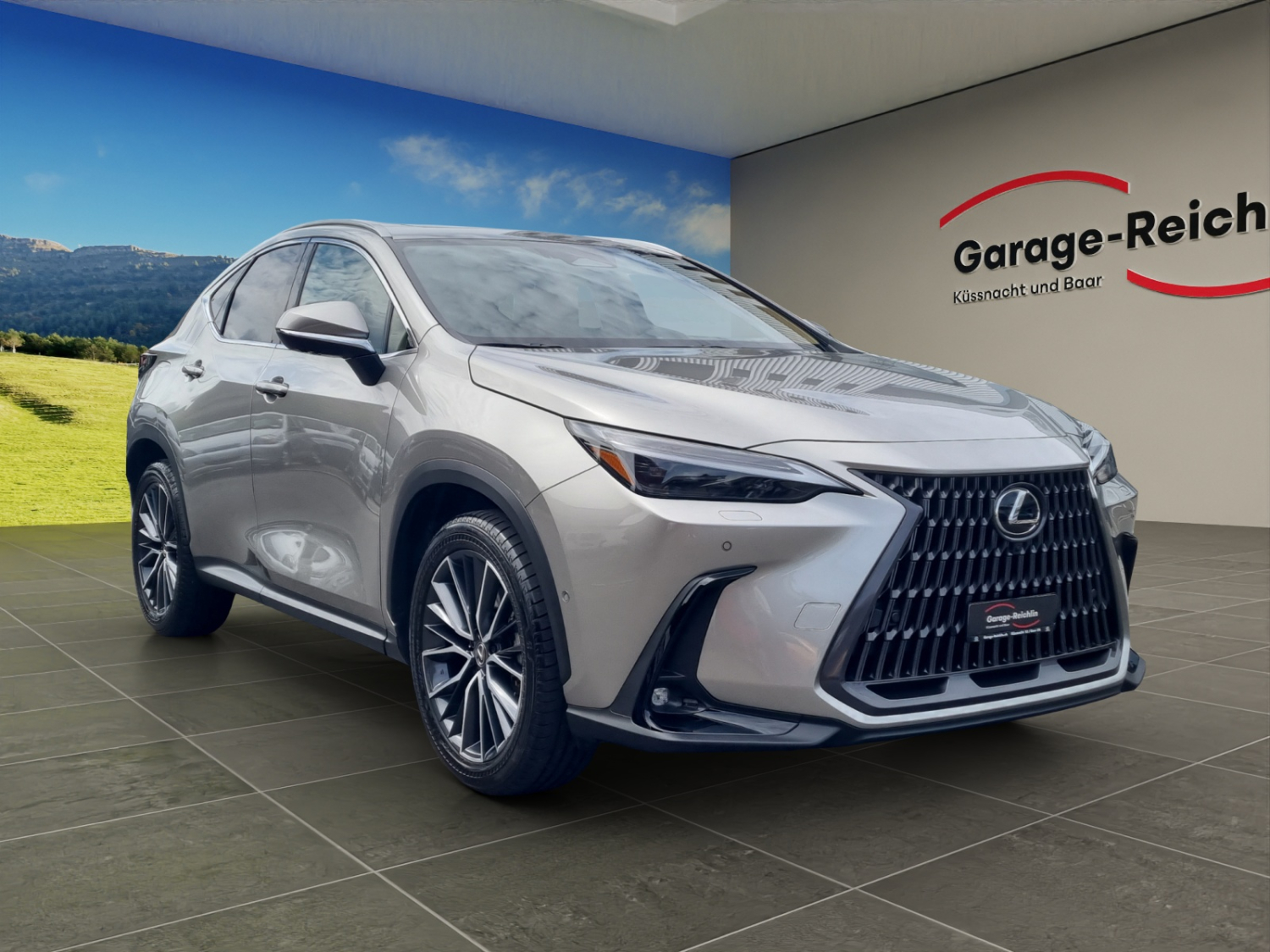 LEXUS NX 450h+ Excellence-image-6