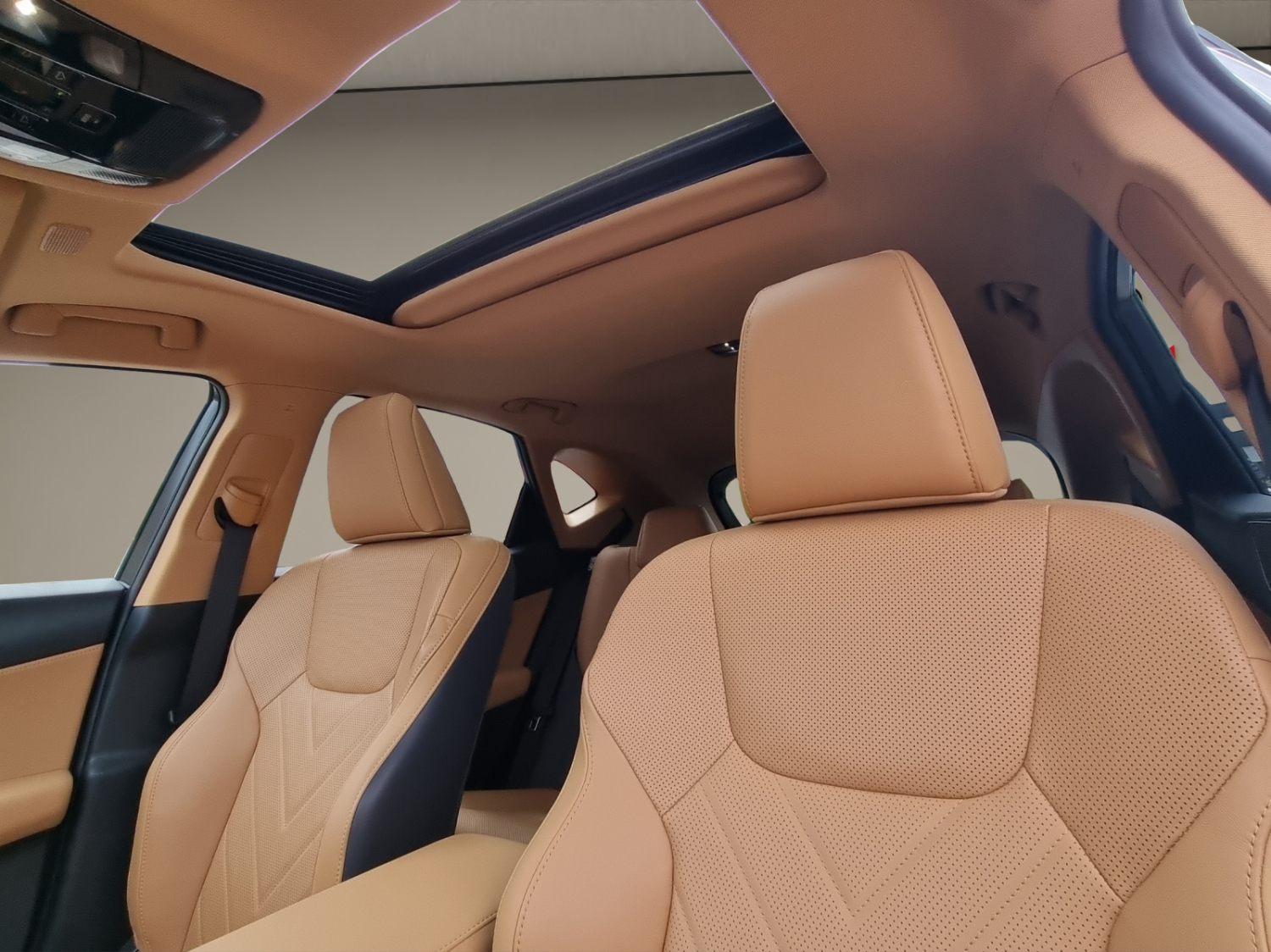 LEXUS NX 450h+ Excellence-image-12