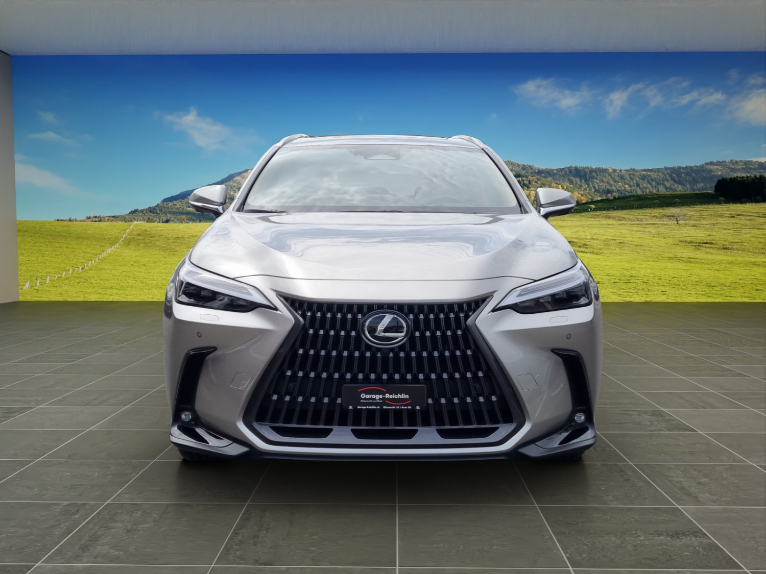 LEXUS NX 450h+ Excellence-image-7