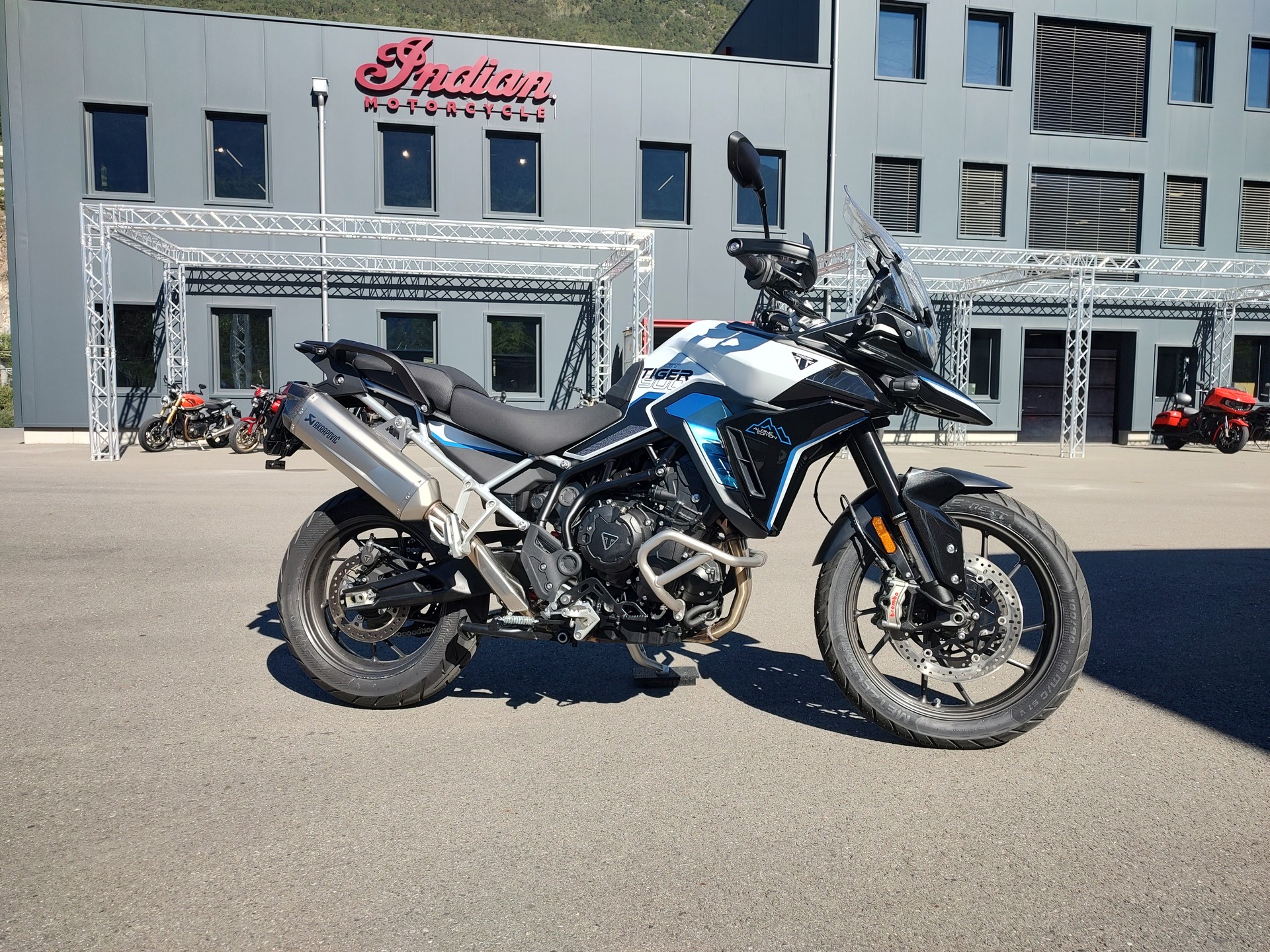 TRIUMPH Tiger 900 Alpine ED.