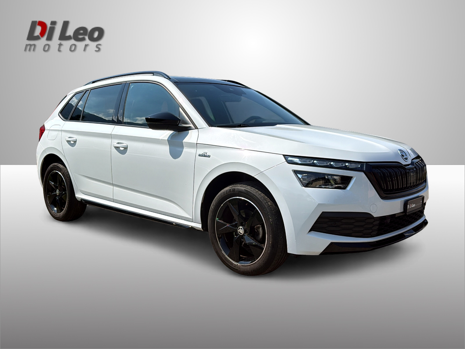SKODA Kamiq 1.0 TSI Monte Carlo DSG-image-2
