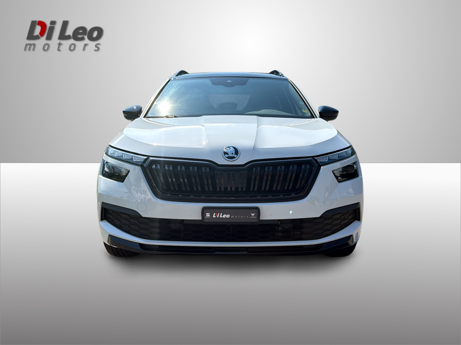 SKODA Kamiq 1.0 TSI Monte Carlo DSG-image-1