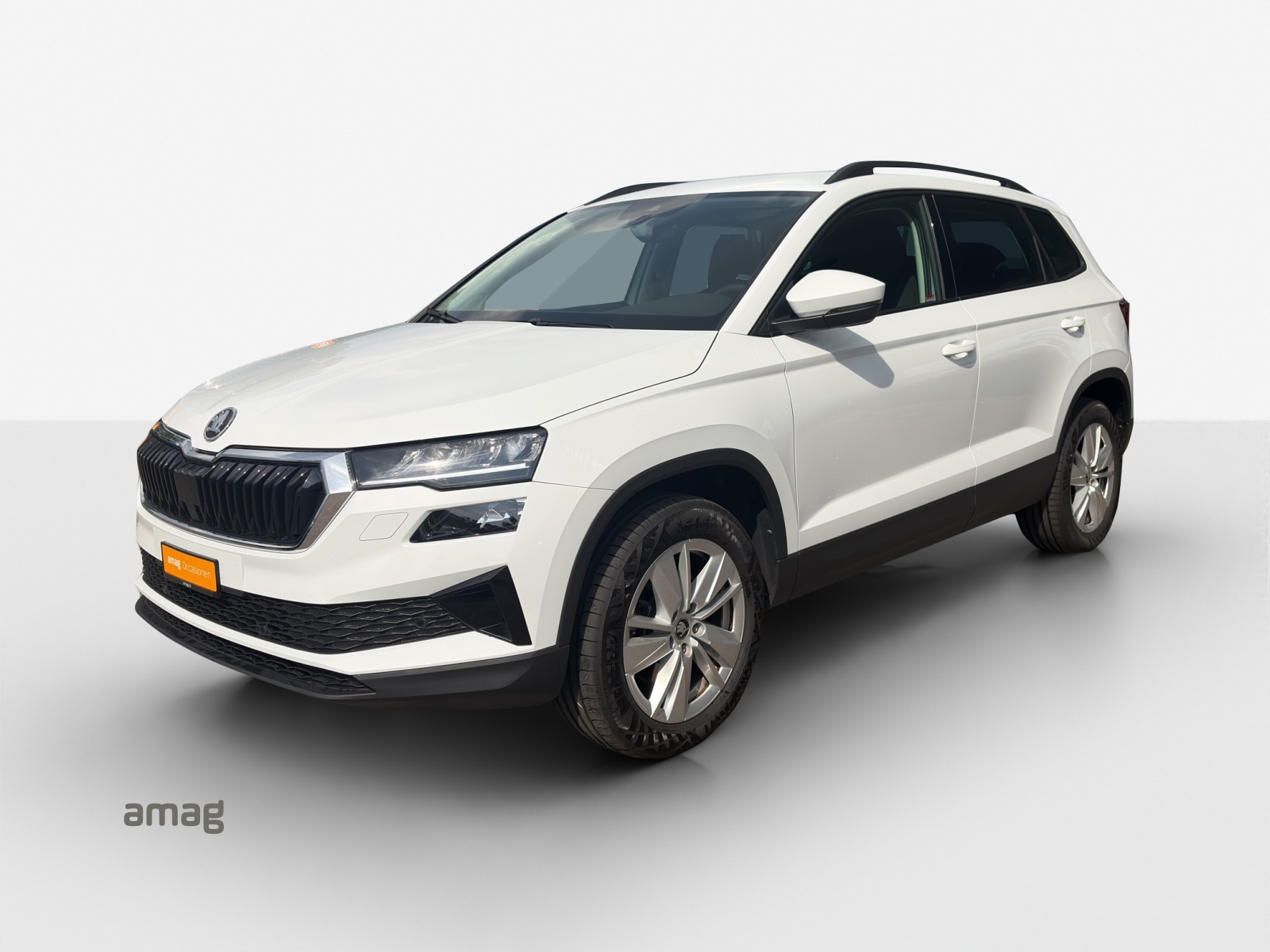 SKODA Karoq 2.0 TDI CR Selection 4x4 DSG-image-0