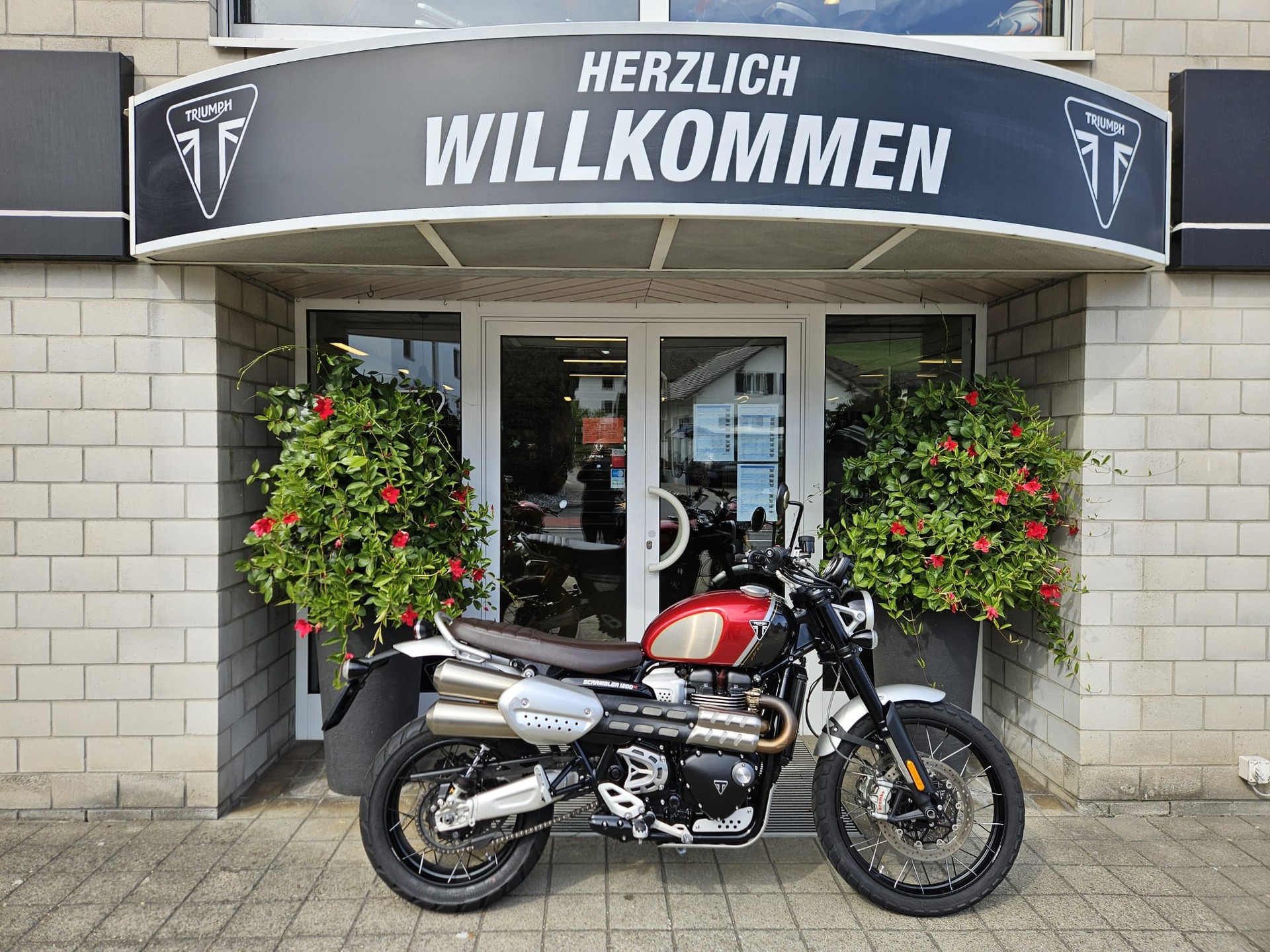 TRIUMPH Scrambler 1200 XC Gold Line