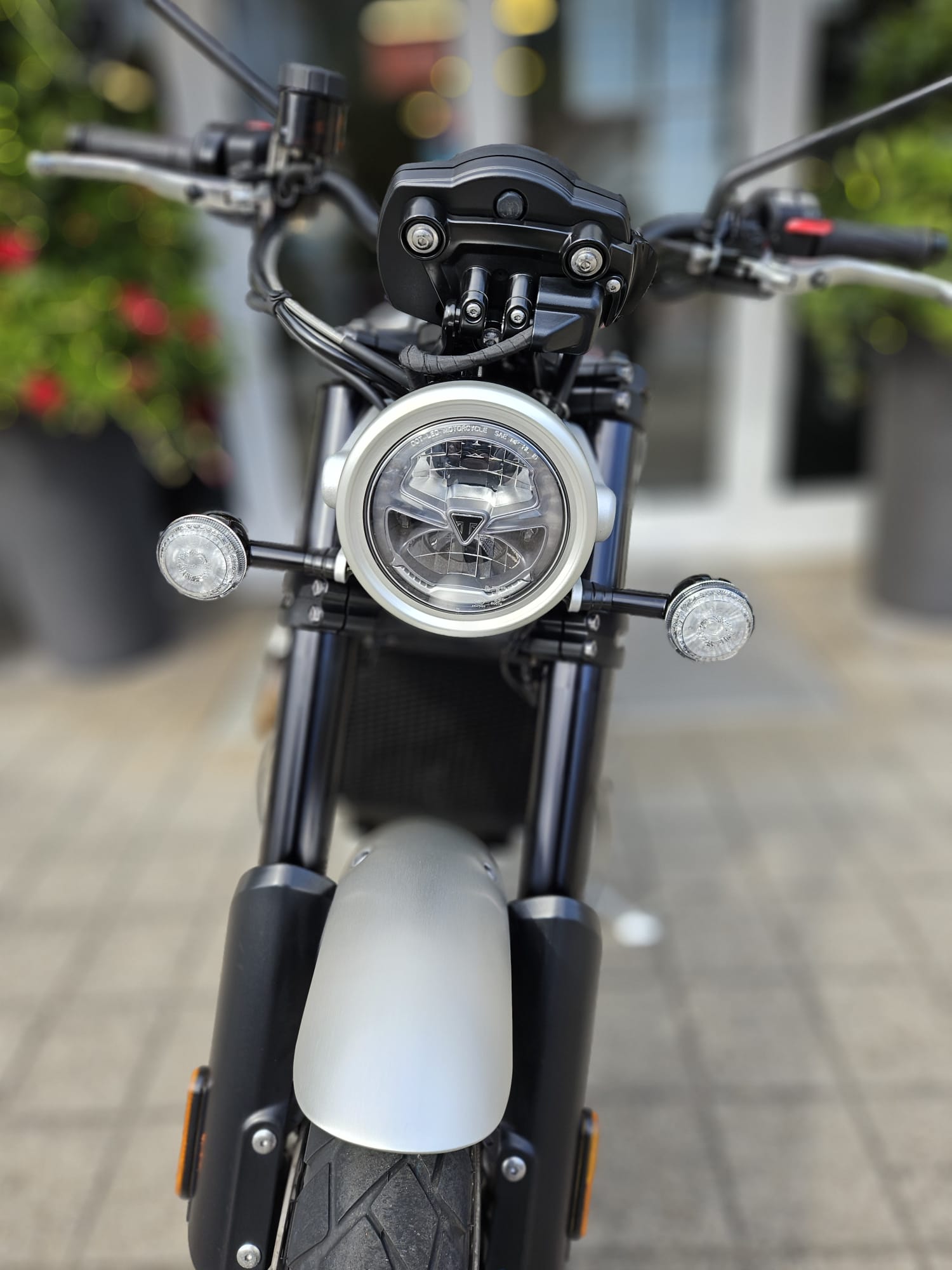TRIUMPH Scrambler 1200 XC Gold Line-image-8