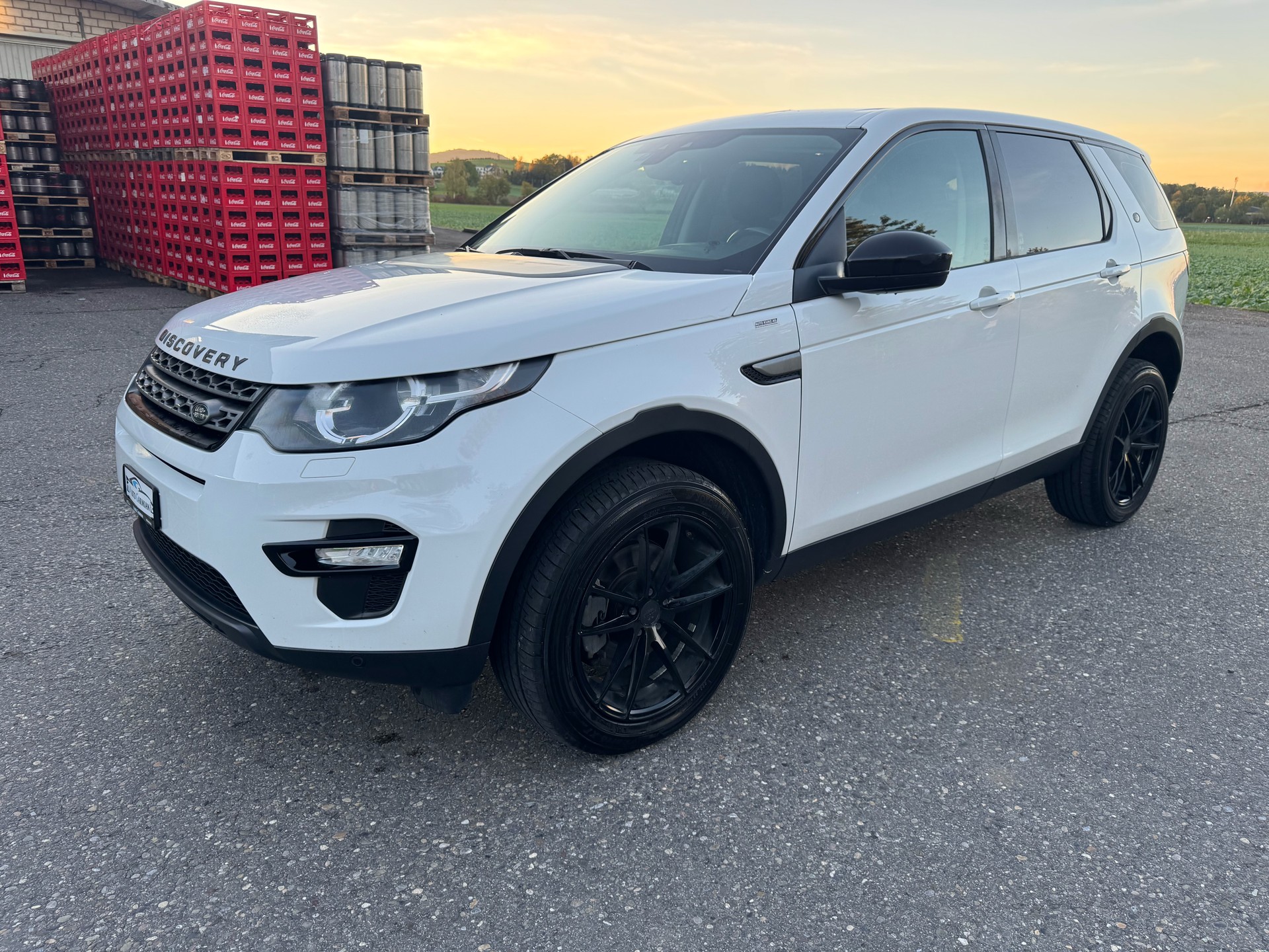 LAND ROVER Discovery Sport 2.0 TD4 HSE AT9-image-2