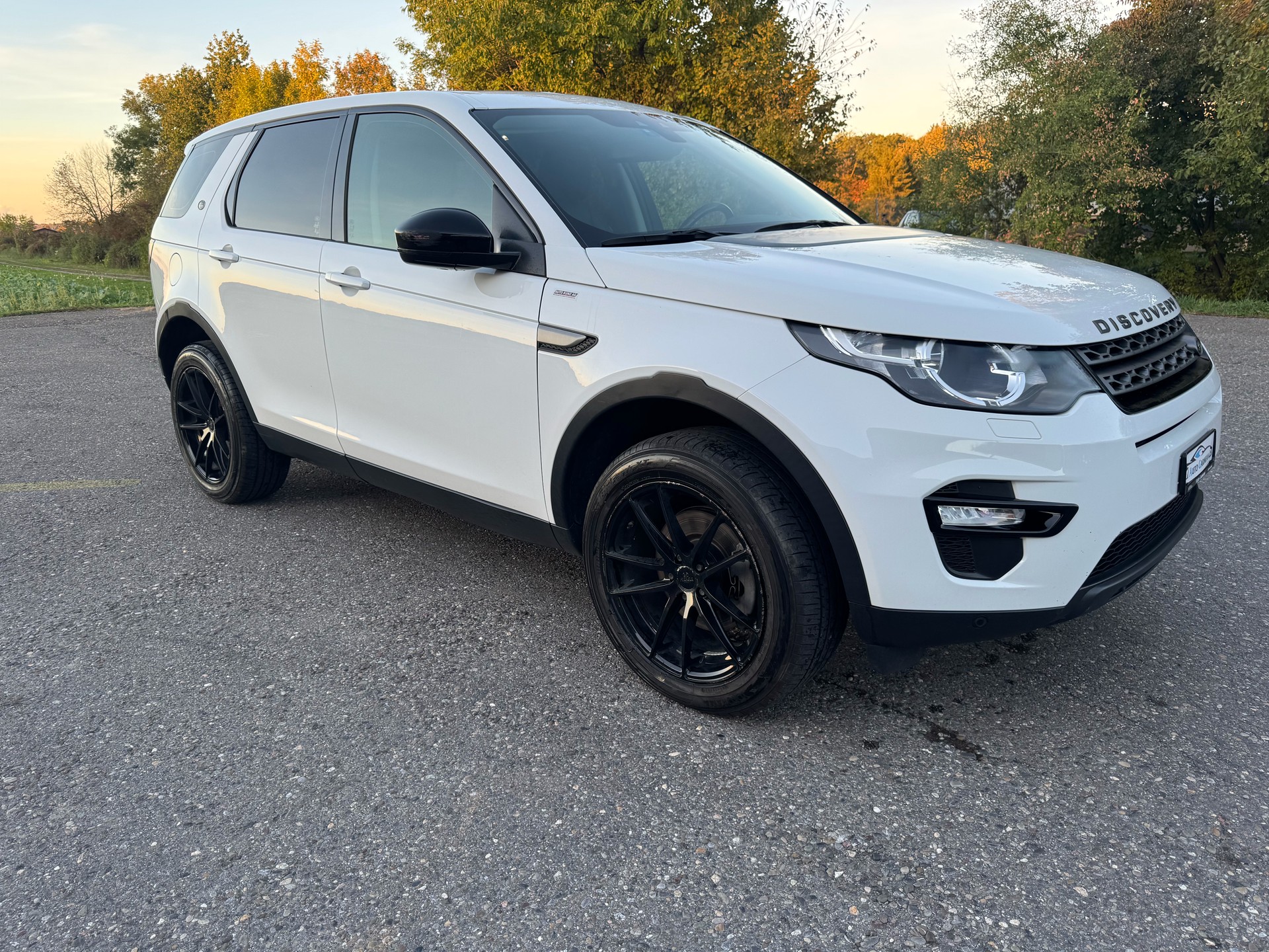 LAND ROVER Discovery Sport 2.0 TD4 HSE AT9-image-1