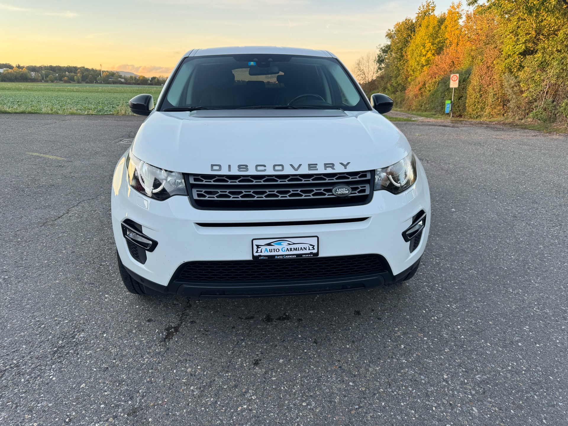 LAND ROVER Discovery Sport 2.0 TD4 HSE AT9-image-0