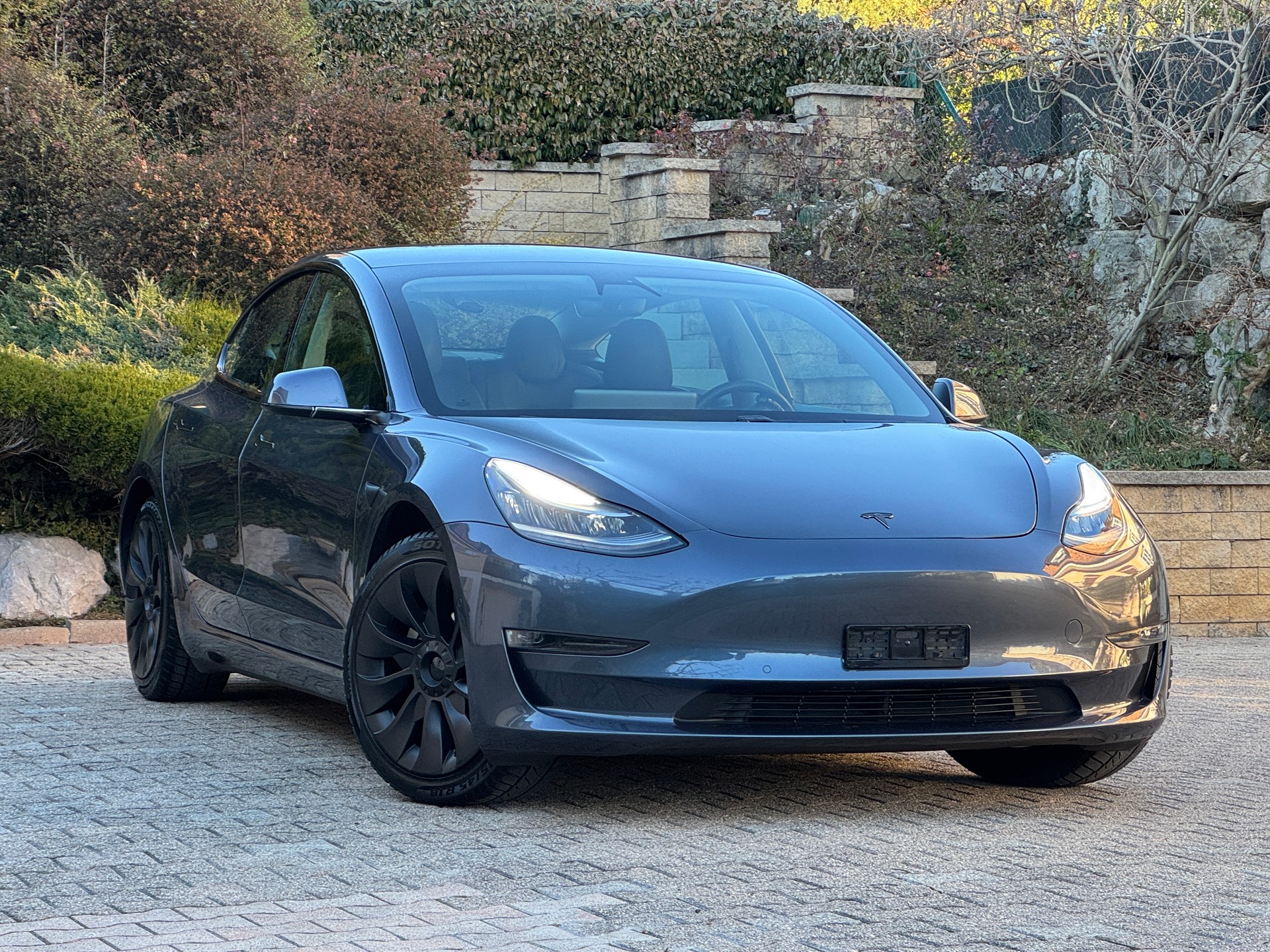TESLA Model 3 Long Range Dual Motor AWD-image-3