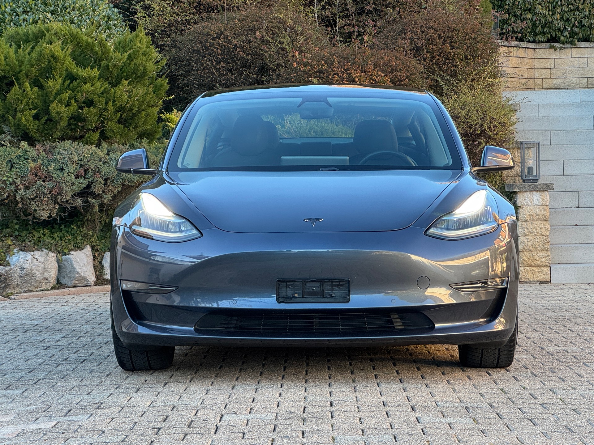 TESLA Model 3 Long Range Dual Motor AWD-image-8