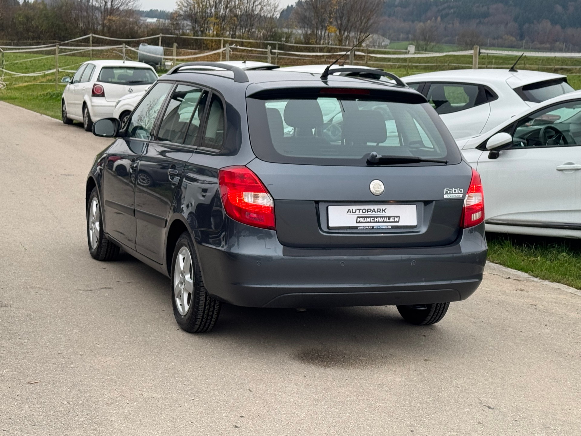 SKODA Fabia 1.4 TDI GreenLine-image-3
