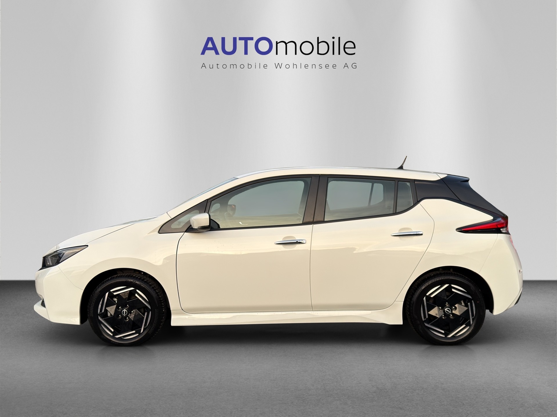 NISSAN Leaf Visia (incl. batt)
