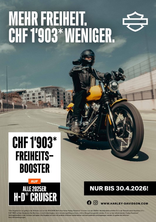 HARLEY-DAVIDSON FXLRS Low Rider S 117-image-4