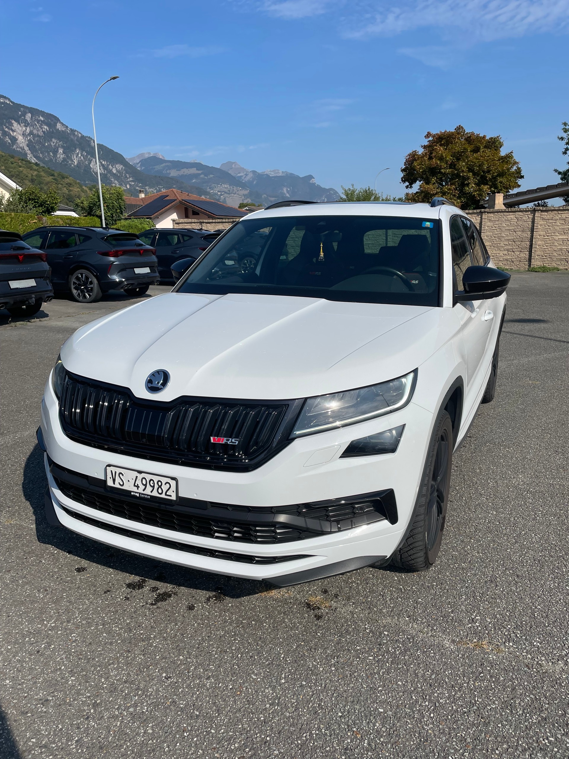 SKODA 2.0 Bi-TDI 240 RS DSG-image-0