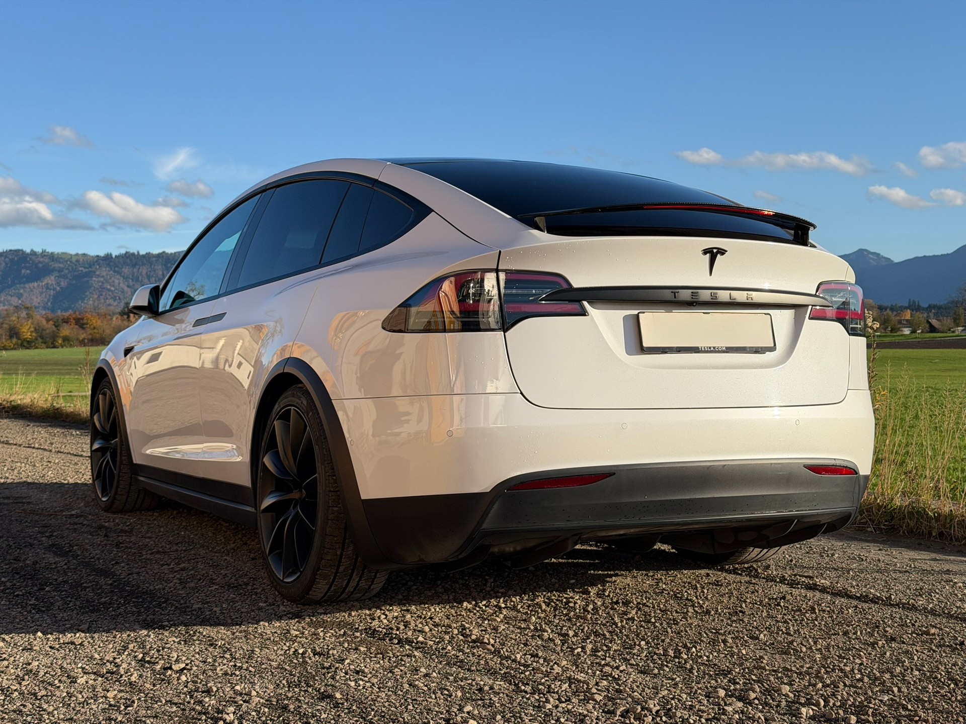 TESLA Model X Ludicrous Performance-image-2