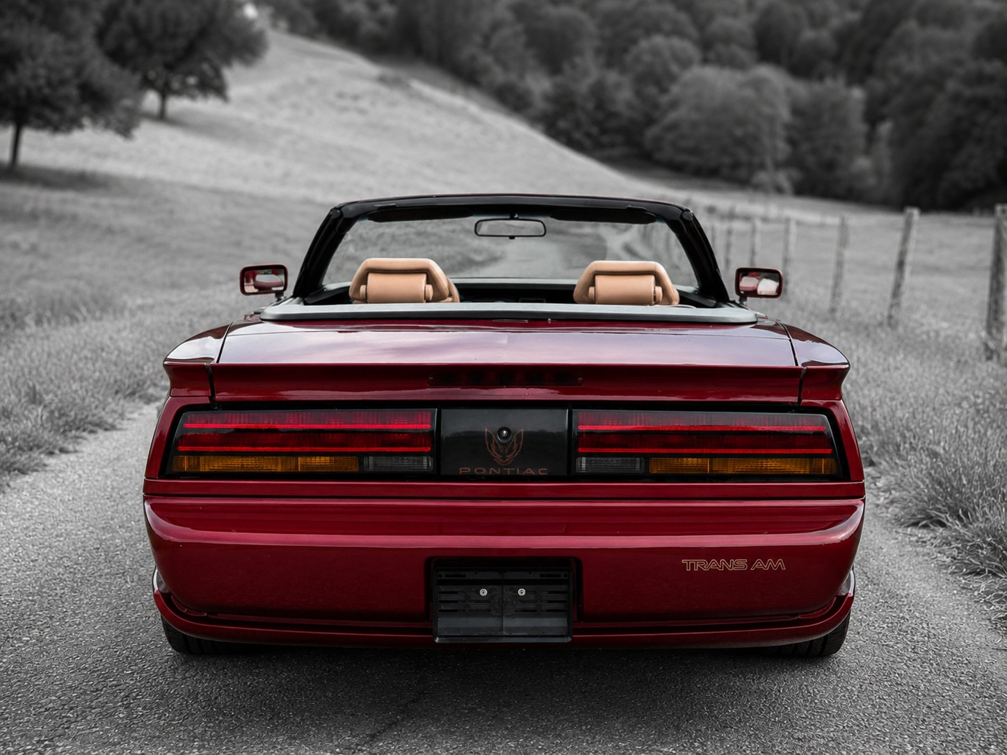 PONTIAC Firebird Veteran 5.0L V8 Trans Am-image-6