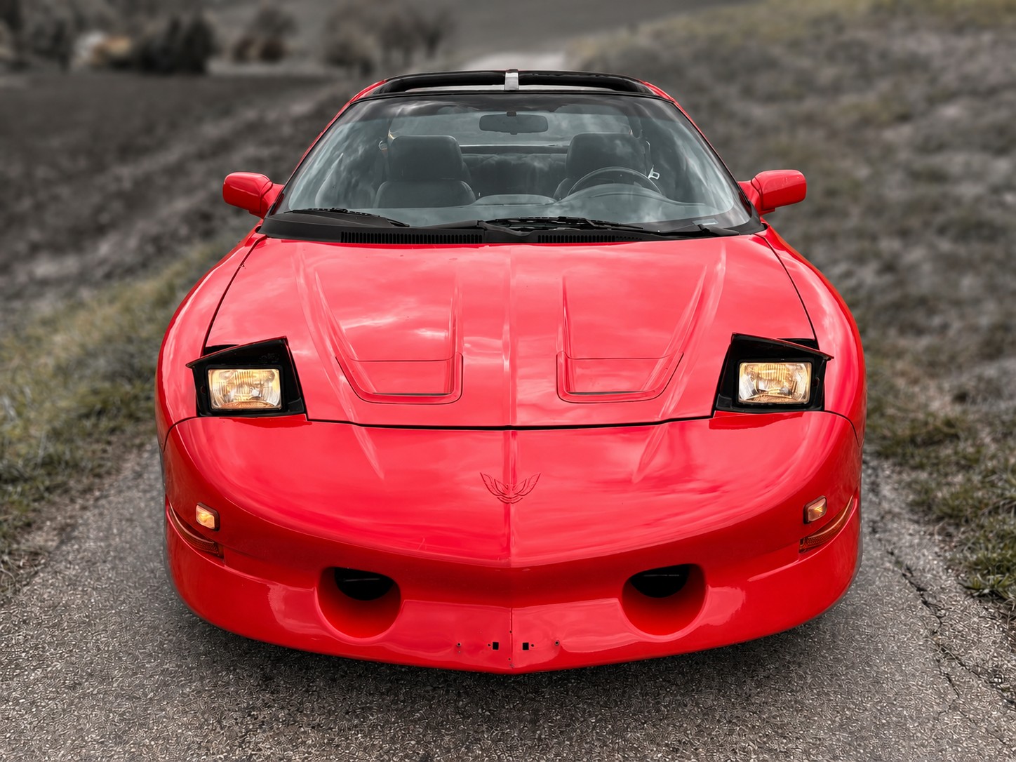 PONTIAC Firebird 5.7L V8 Trans Am-image-19