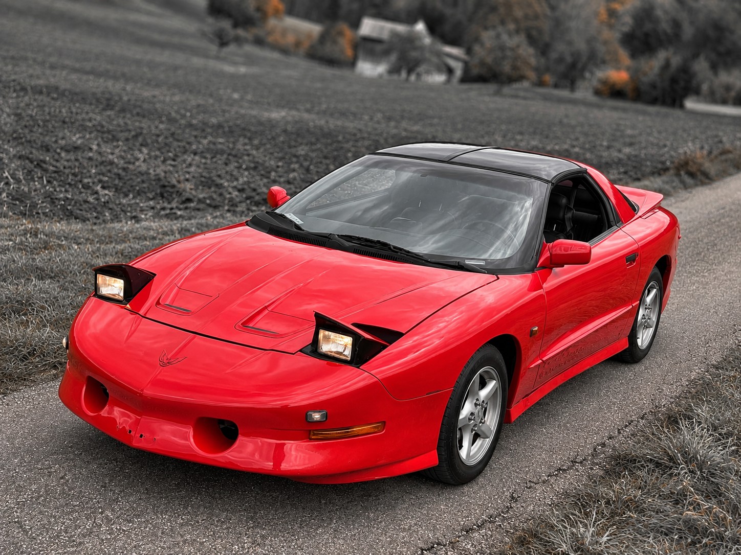 PONTIAC Firebird 5.7L V8 Trans Am-image-15