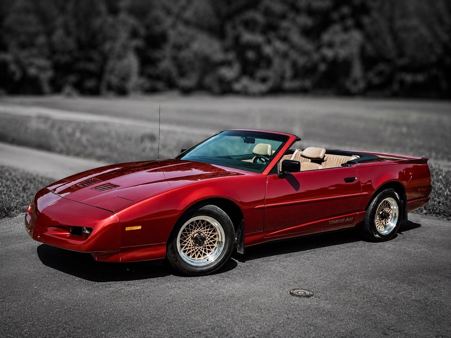 PONTIAC Firebird Veteran 5.0L V8 Trans Am-image-0