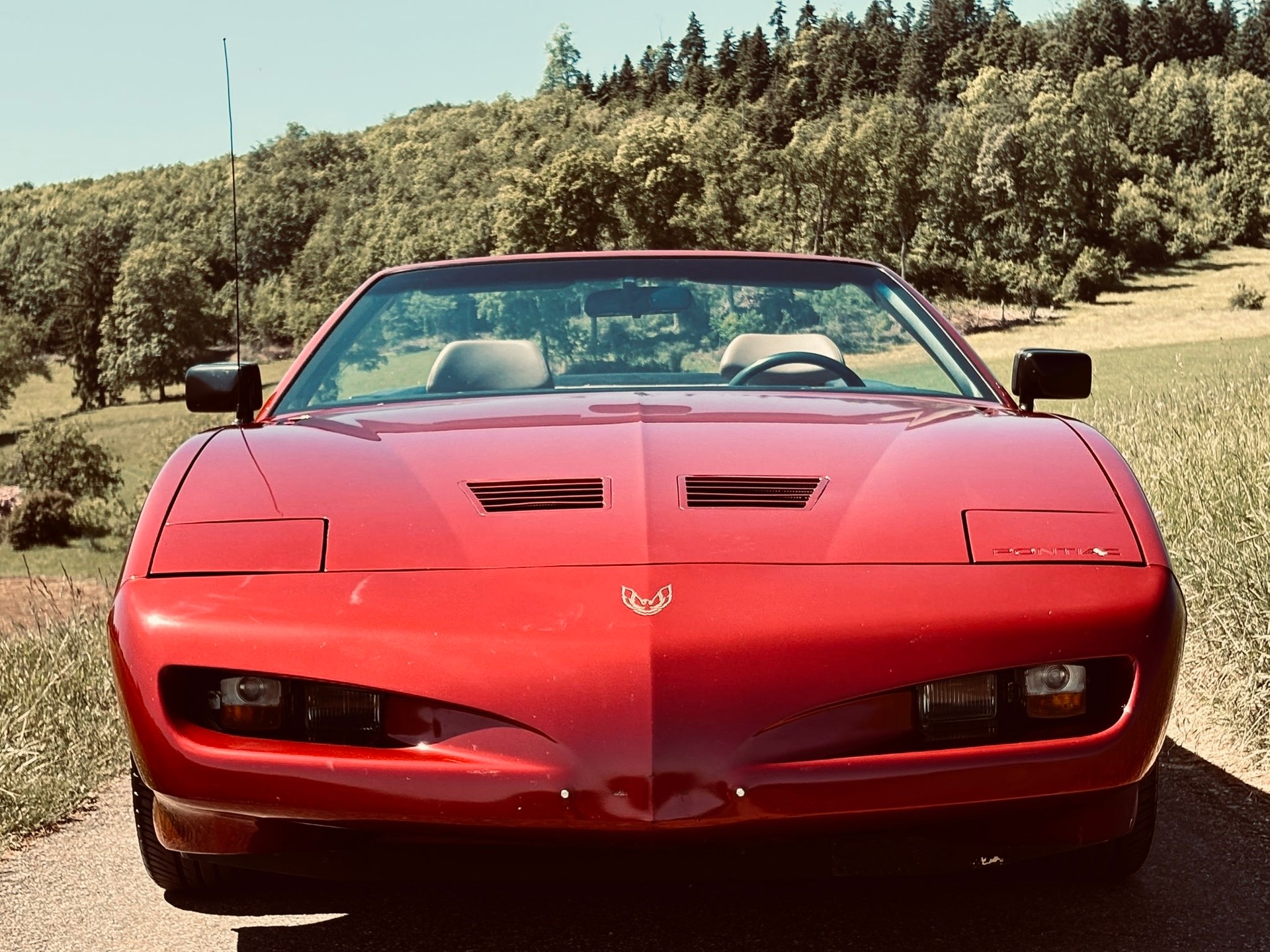 PONTIAC-image-7