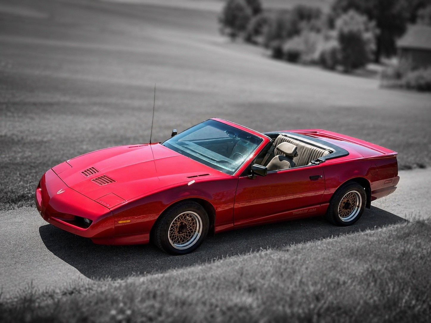PONTIAC Firebird Veteran 5.0L V8 Trans Am-image-7