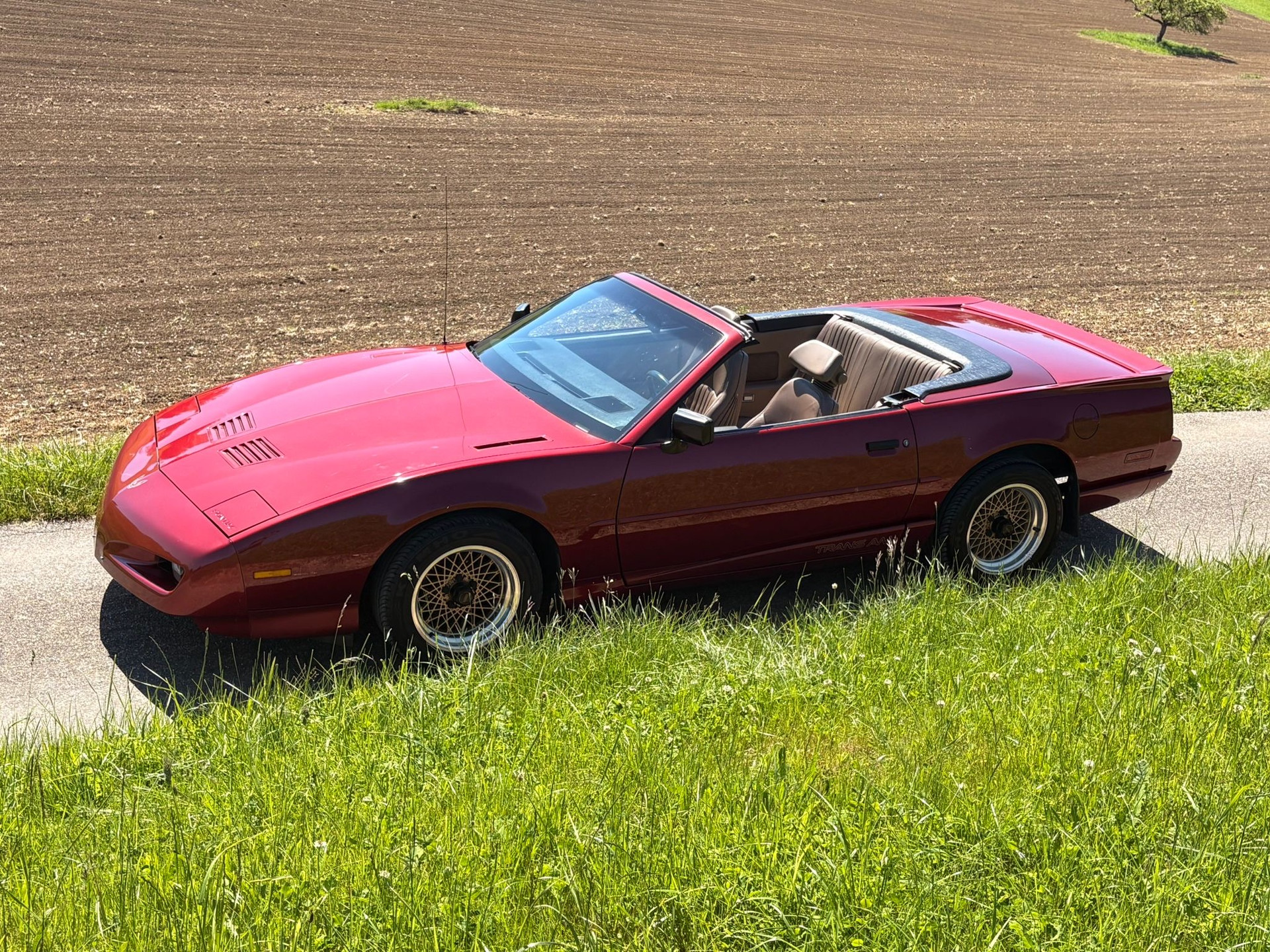 PONTIAC-image-8
