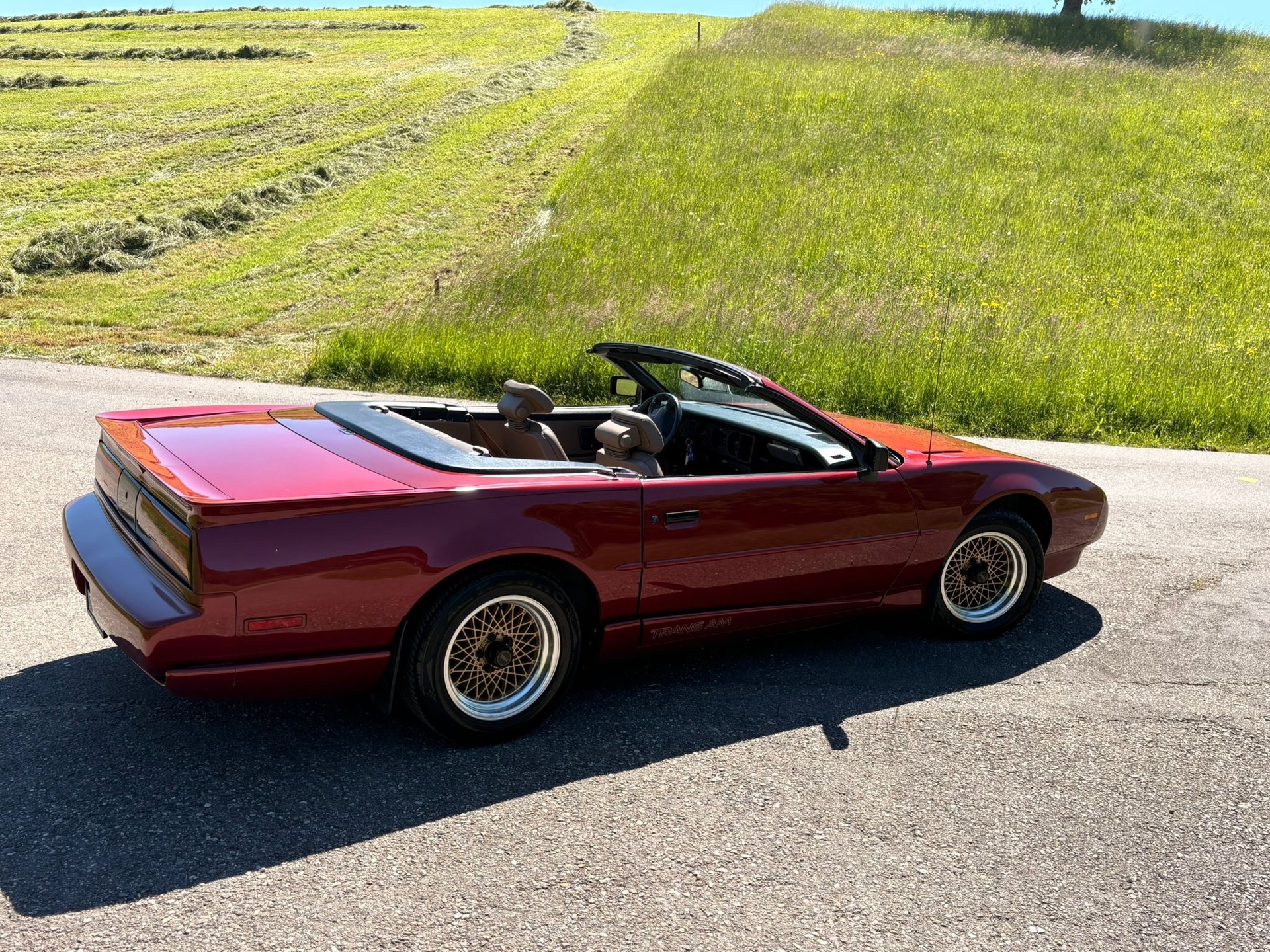 PONTIAC-image-6