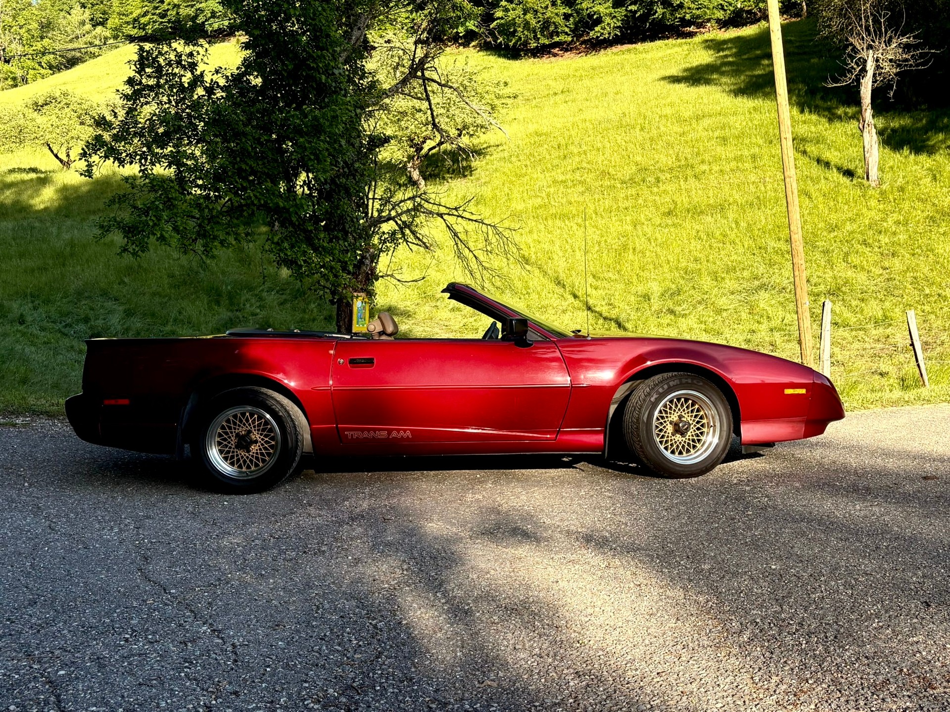 PONTIAC-image-11