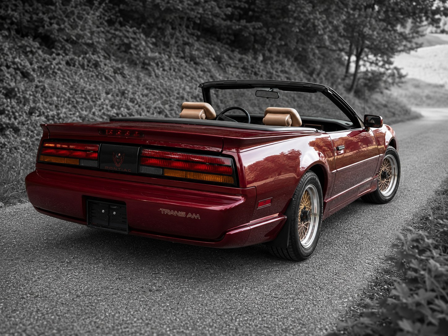 PONTIAC Firebird Veteran 5.0L V8 Trans Am-image-5