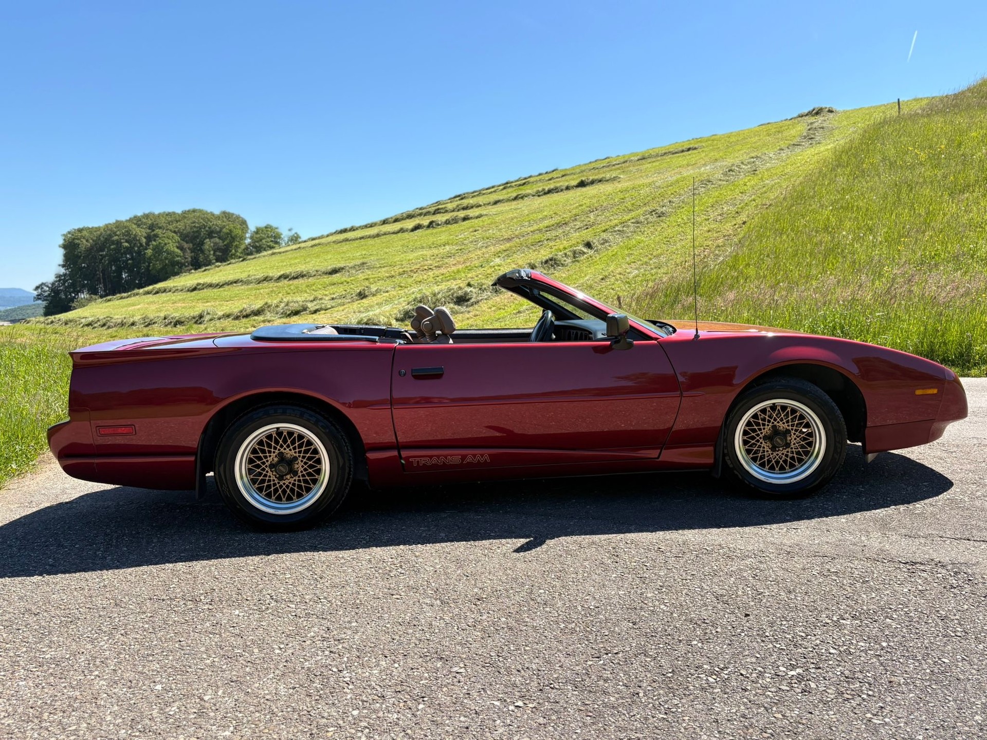 PONTIAC-image-2