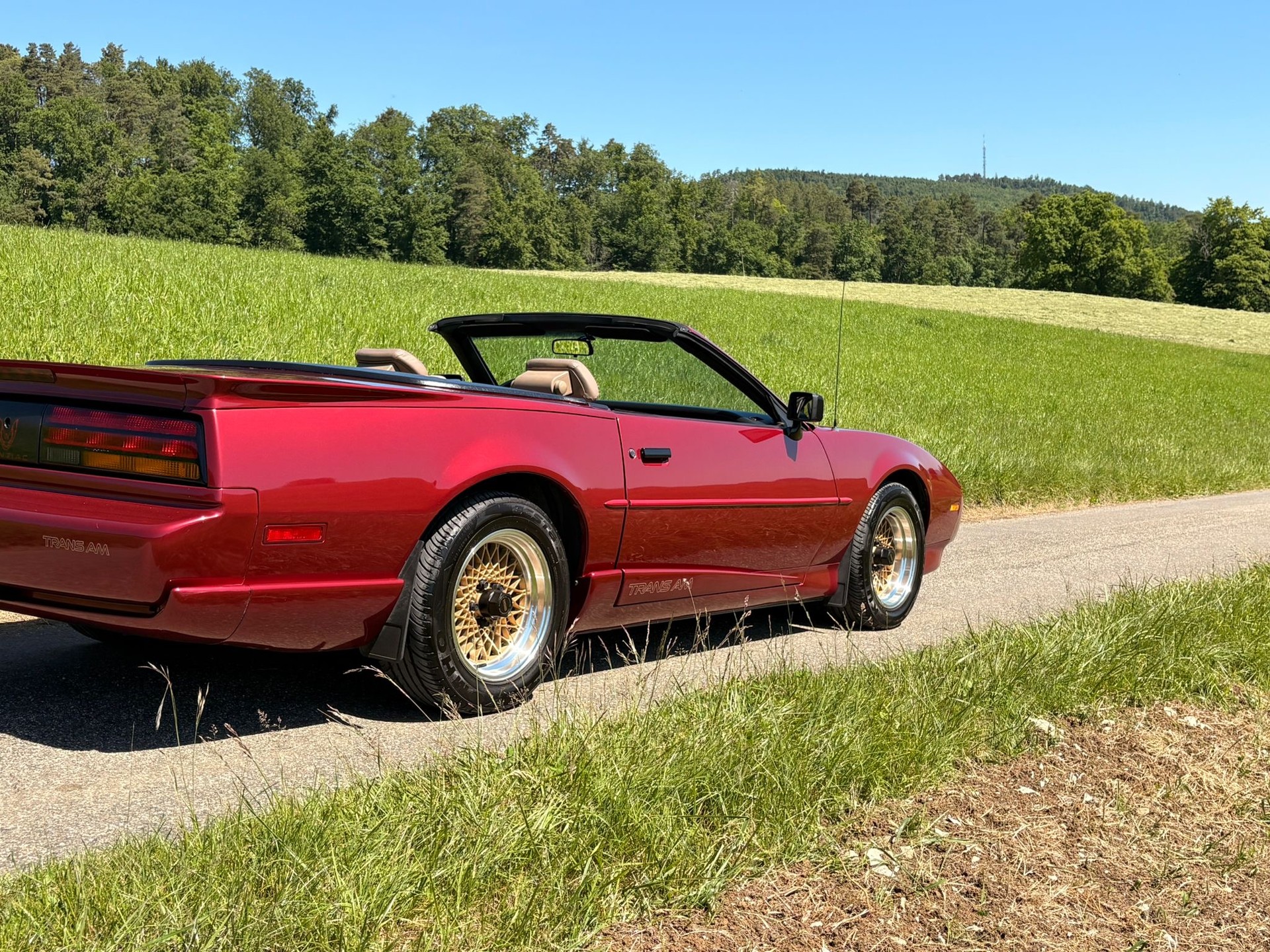 PONTIAC-image-9