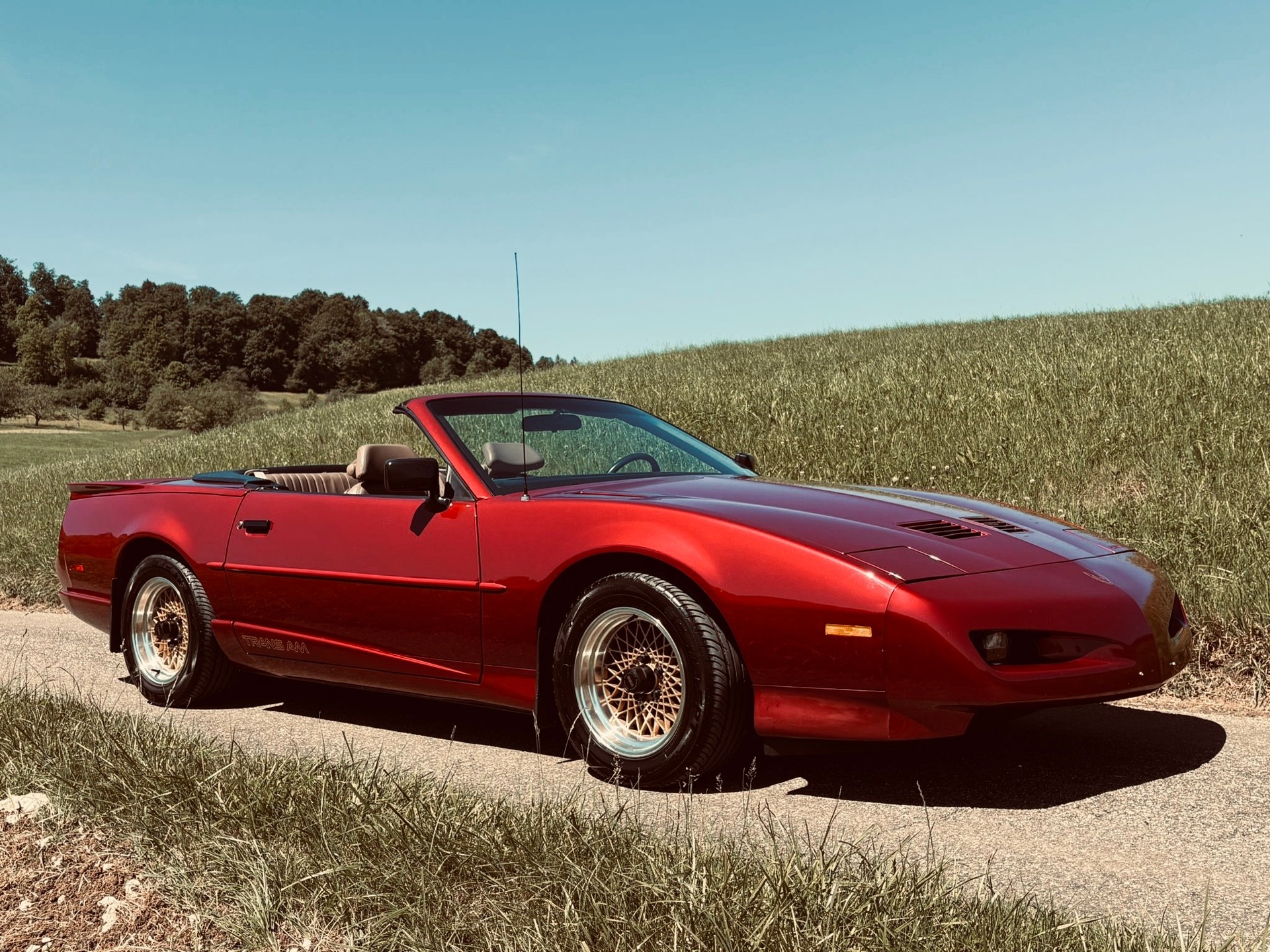 PONTIAC-image-4