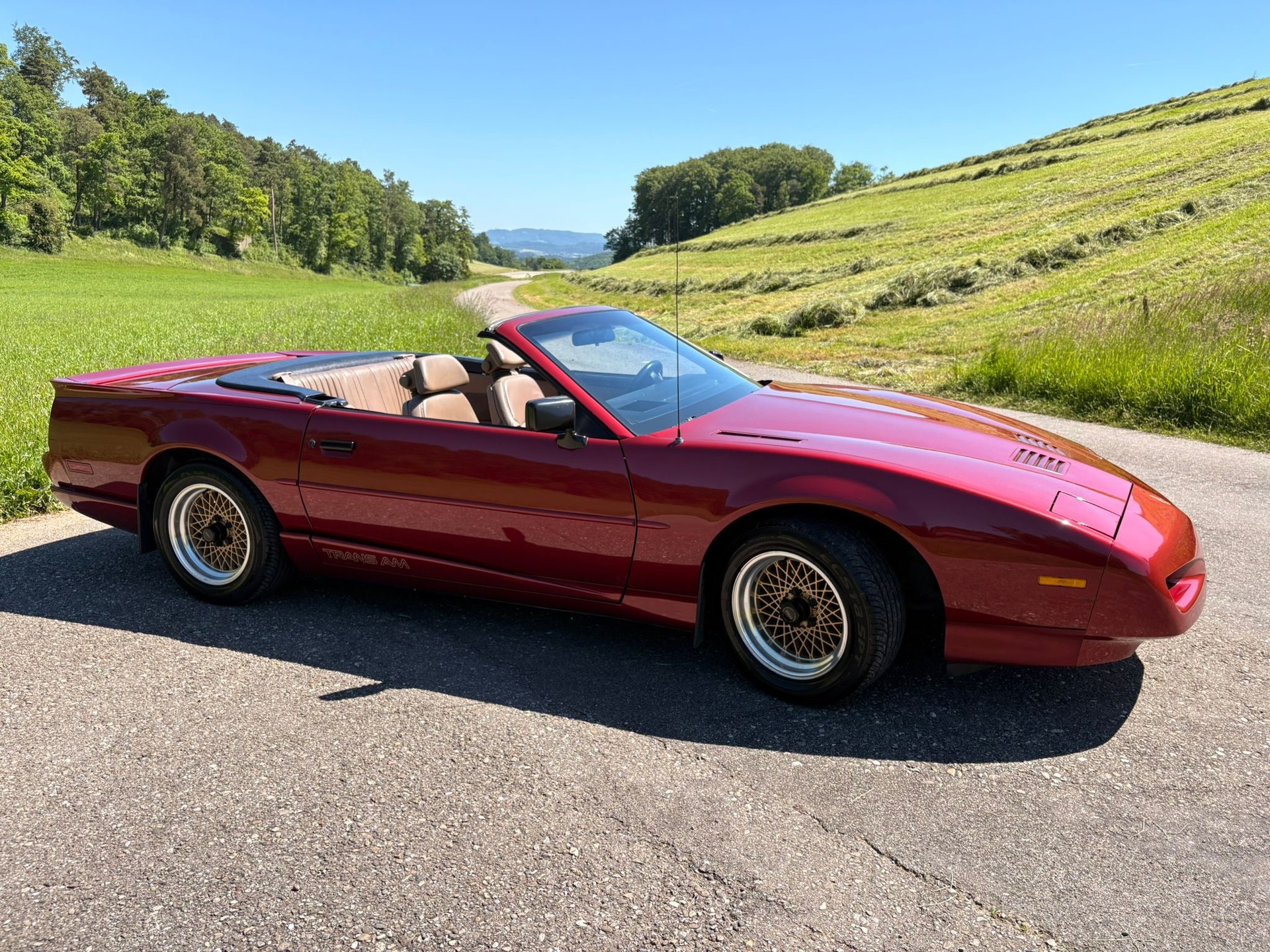 PONTIAC Firebird Veteran 5.0L V8 Trans Am