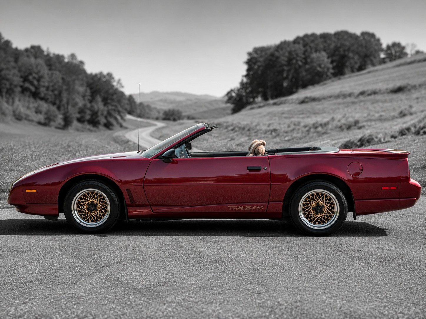 PONTIAC Firebird Veteran 5.0L V8 Trans Am-image-3