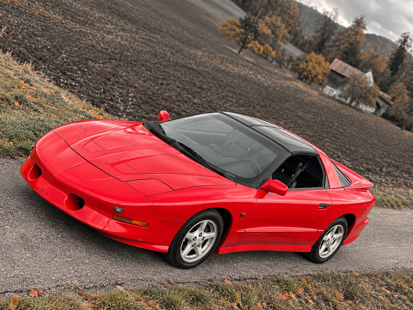 PONTIAC Firebird 5.7L V8 Trans Am-image-9