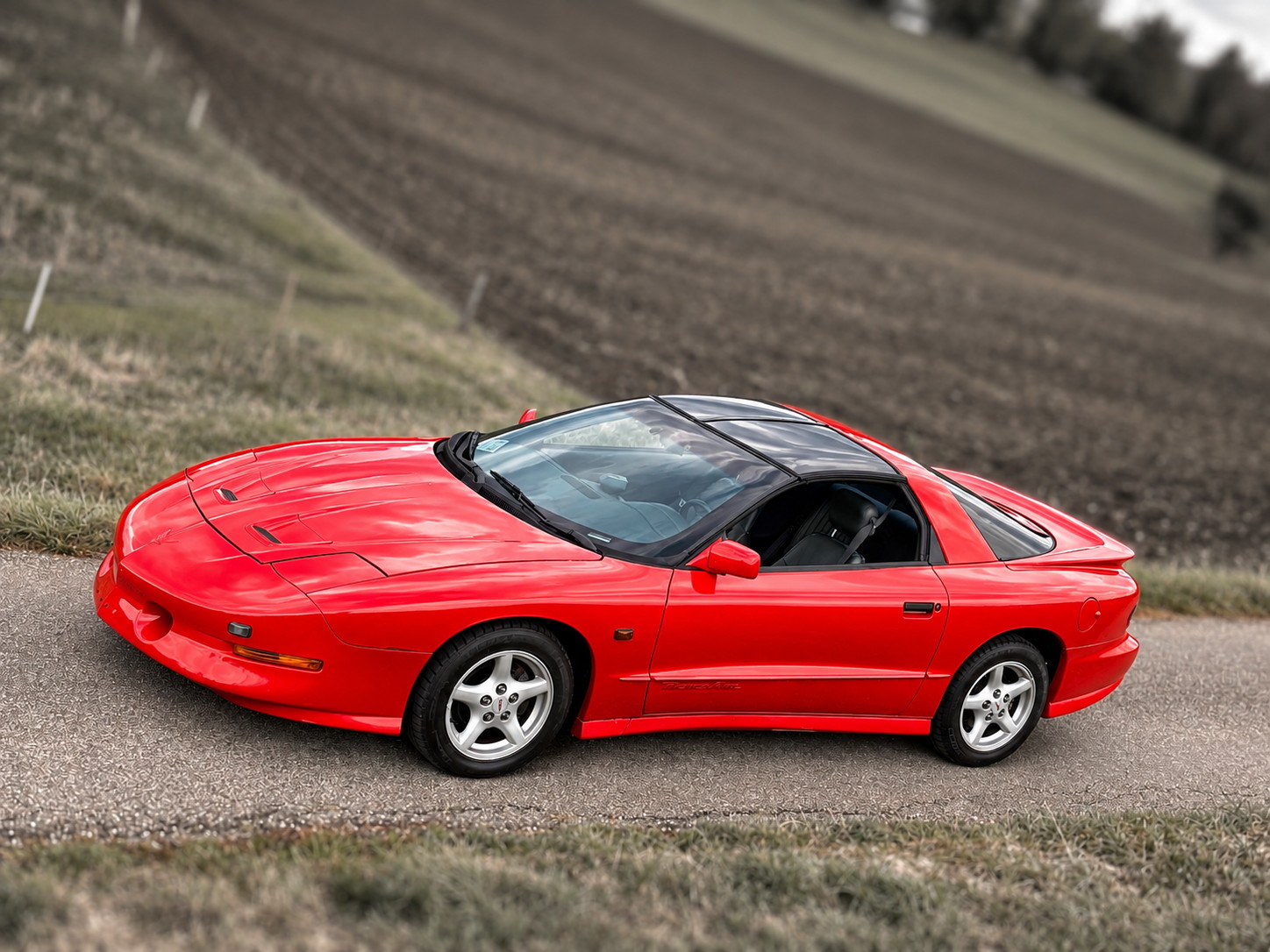 PONTIAC Firebird 5.7L V8 Trans Am-image-0