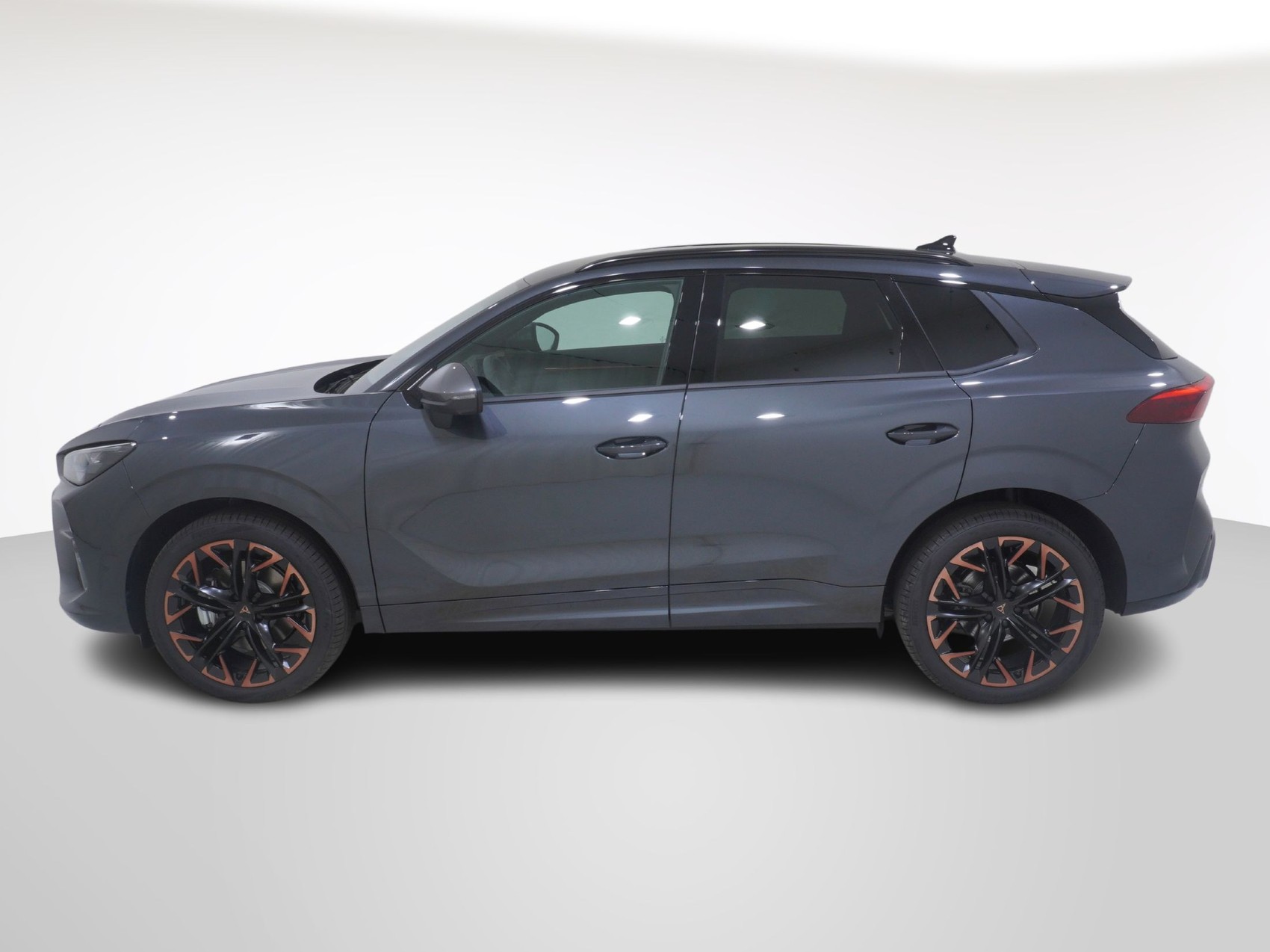 CUPRA Terramar 2.0 TSI 4Drive DSG-image-2