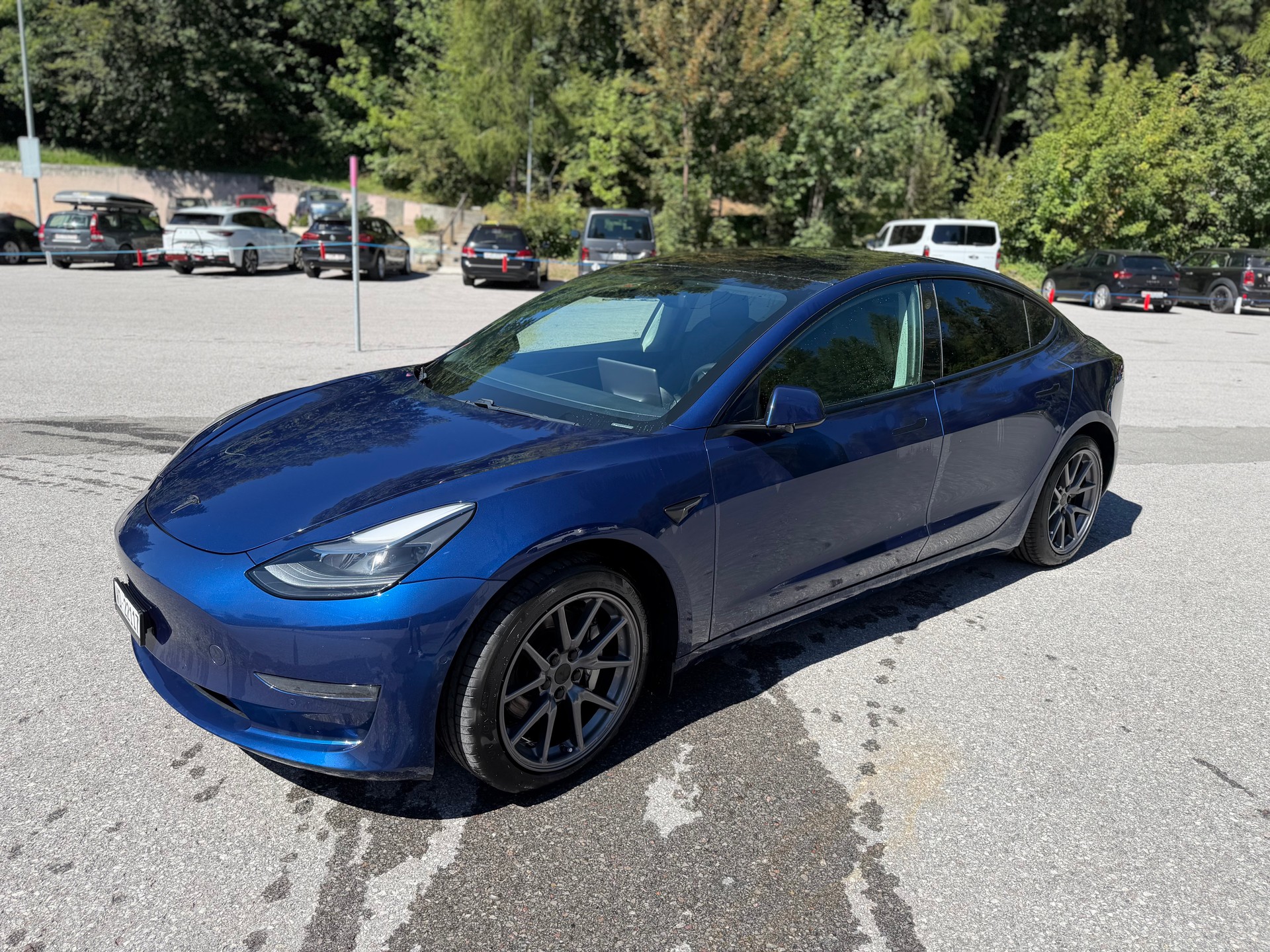 TESLA Long Range D-image-1