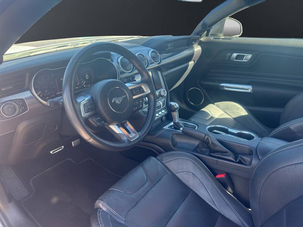 FORD Mustang Fastback 5.0 V8 Mach 1-image-5