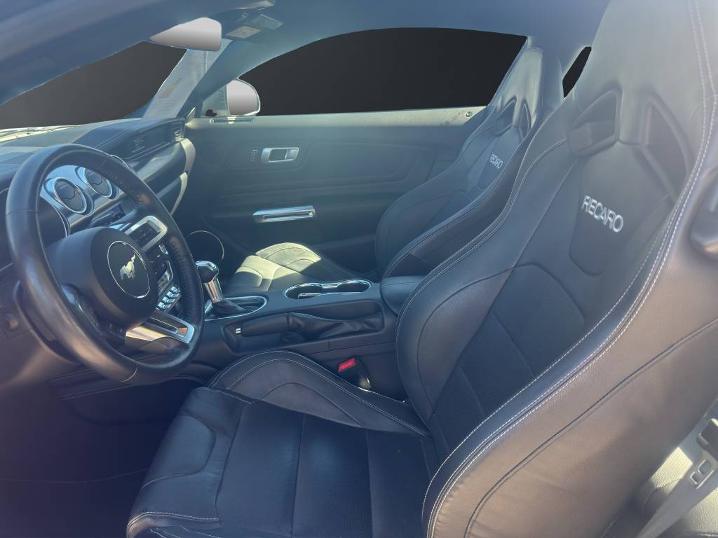 FORD Mustang Fastback 5.0 V8 Mach 1-image-7
